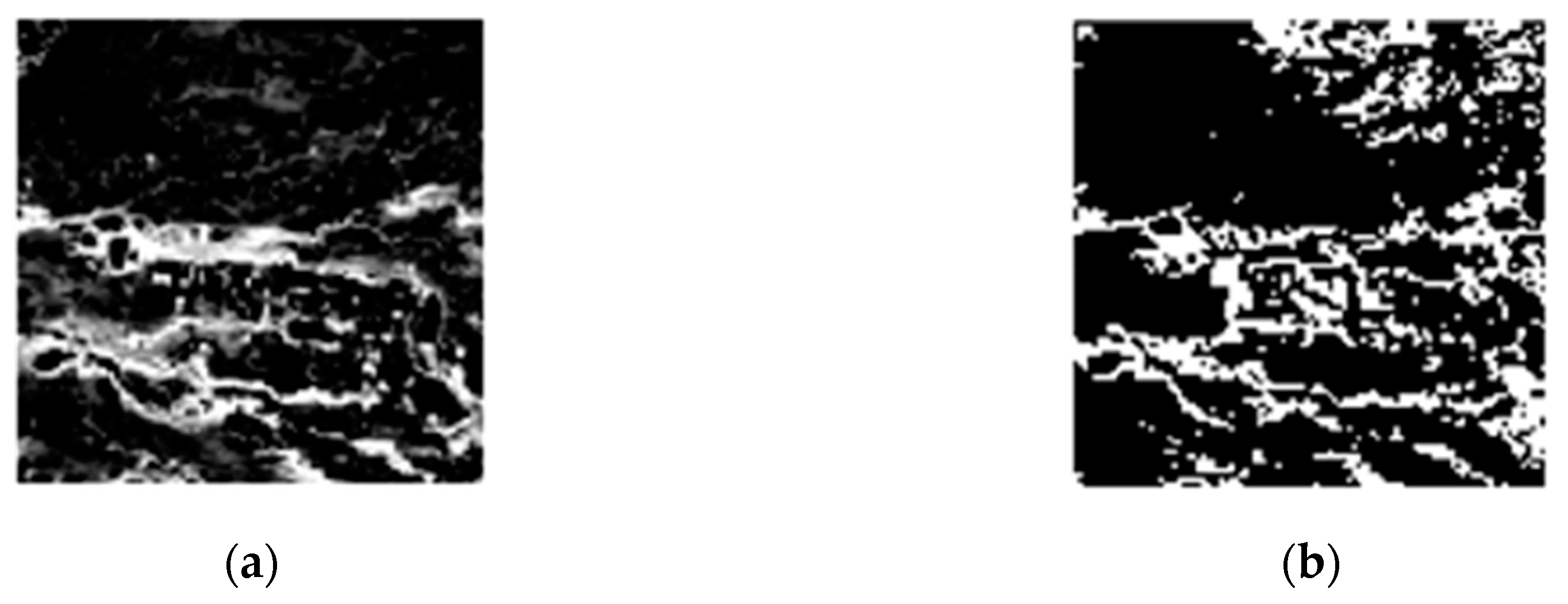 Remotesensing 12 03979 g010 Remotesensing 12 03979 g010