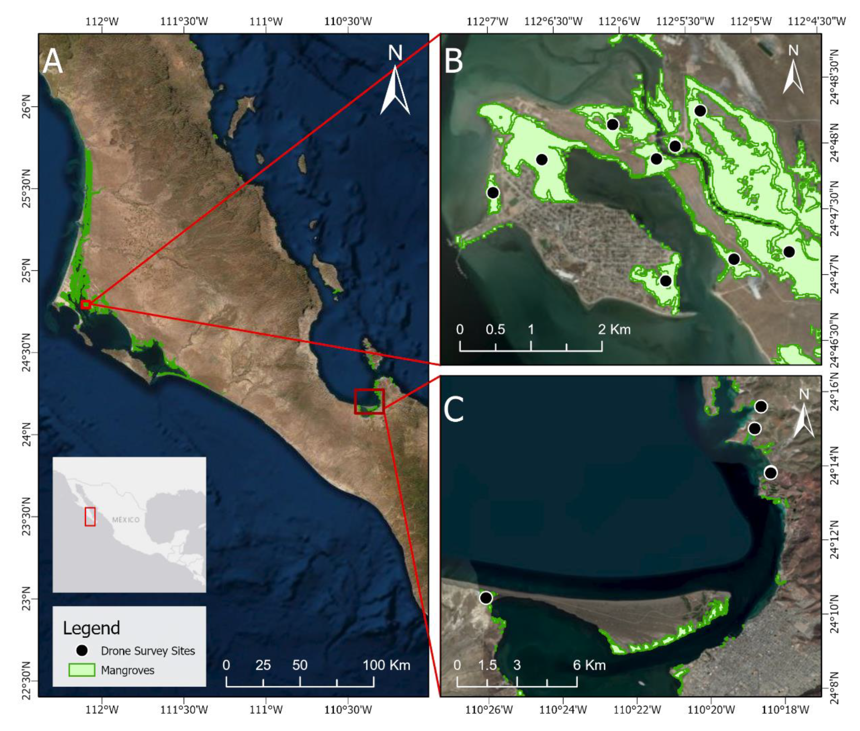 Remotesensing 12 03986 g001