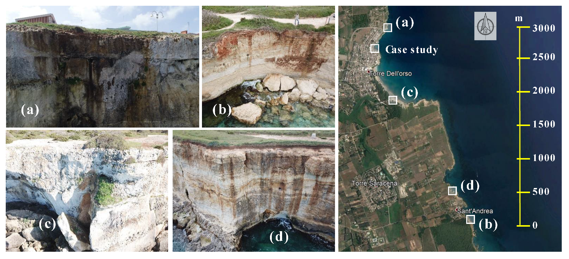 Remotesensing 12 03994 g002