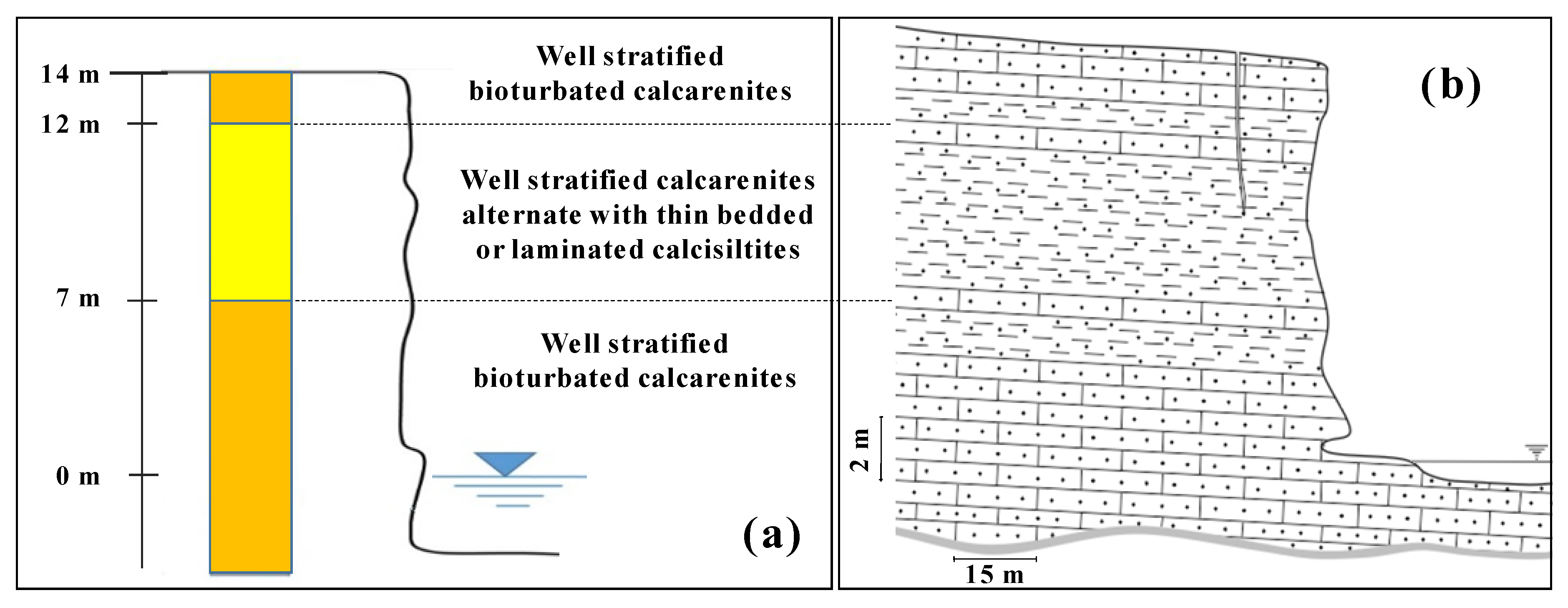 Remotesensing 12 03994 g003