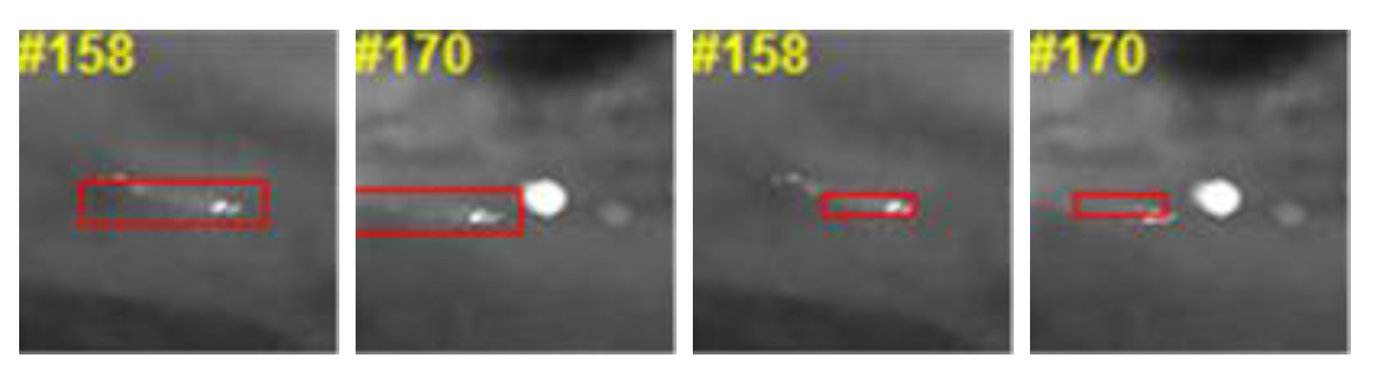 Remotesensing 12 03995 g013 Remotesensing 12 03995 g013