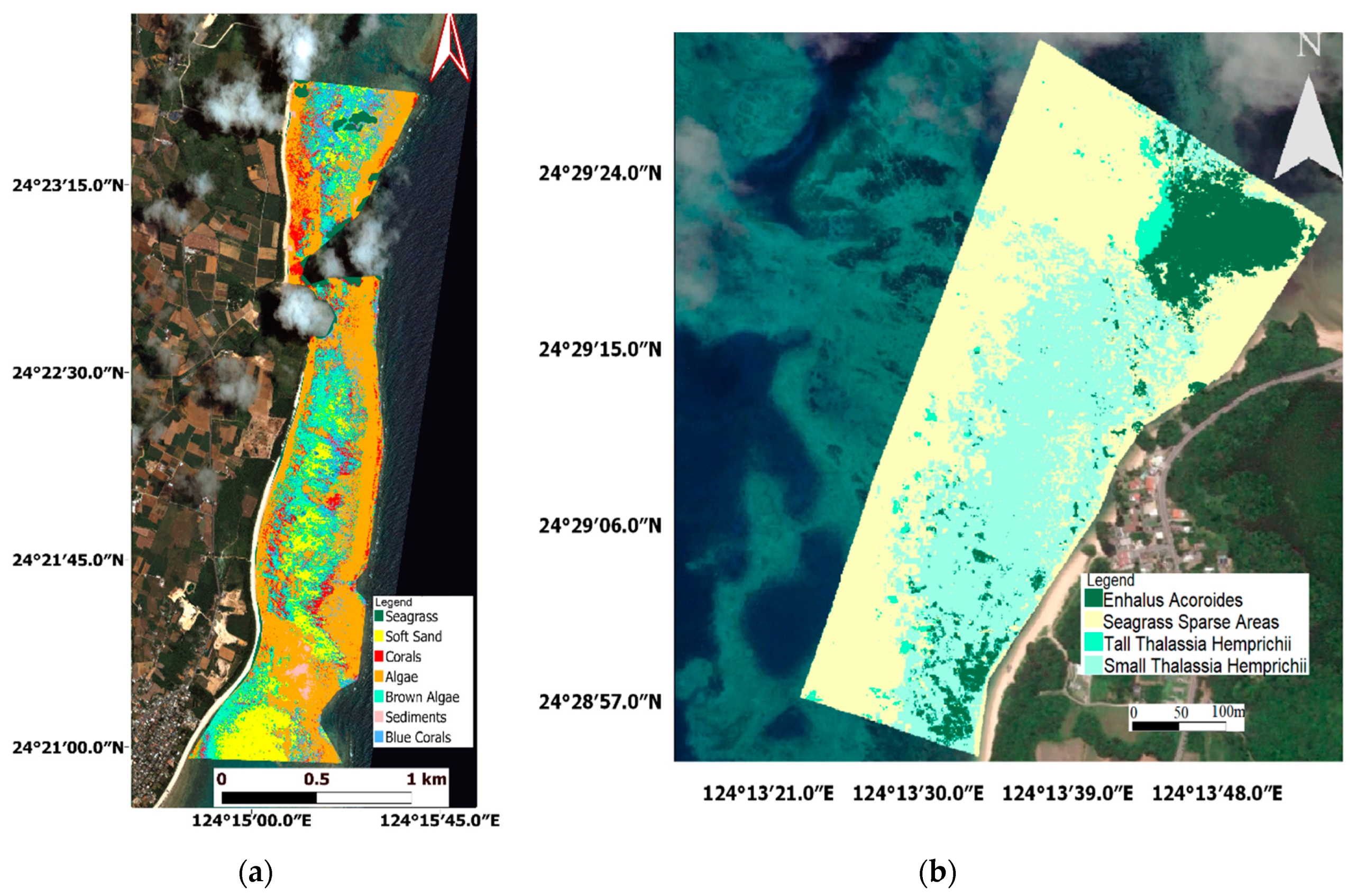Remote Sensing Free Full Text Semiautomated Mapping Of Benthic Habitats And Seagrass Species Using A Convolutional Neural Network Framework In Shallow Water Environments Html Remote Sensing Free Full Text Semiautomated Mapping Of Benthic Habitats And Seagrass Species Using A Convolutional Neural Network Framework In Shallow Water Environments Html