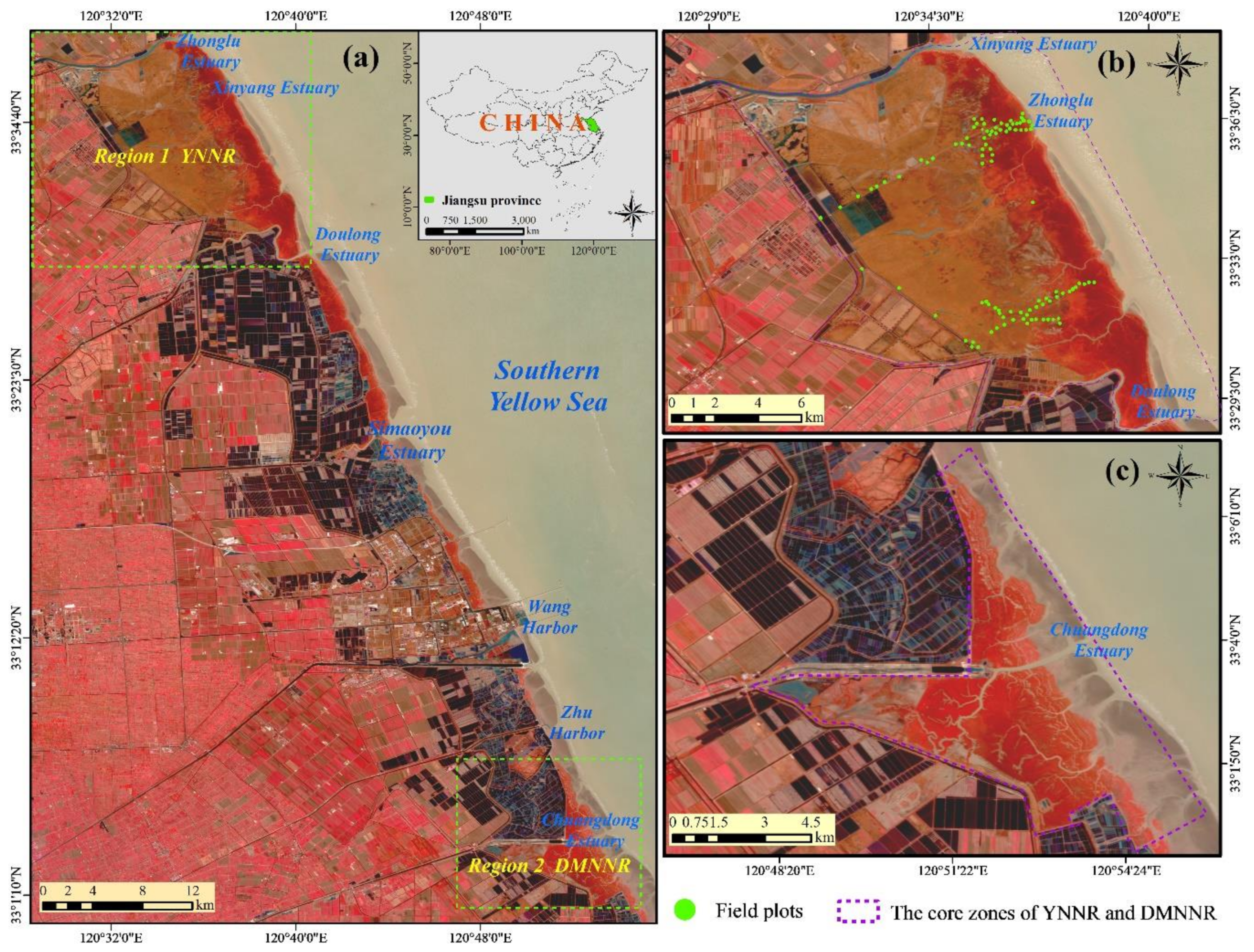 Remotesensing 12 04010 g001 Remotesensing 12 04010 g001