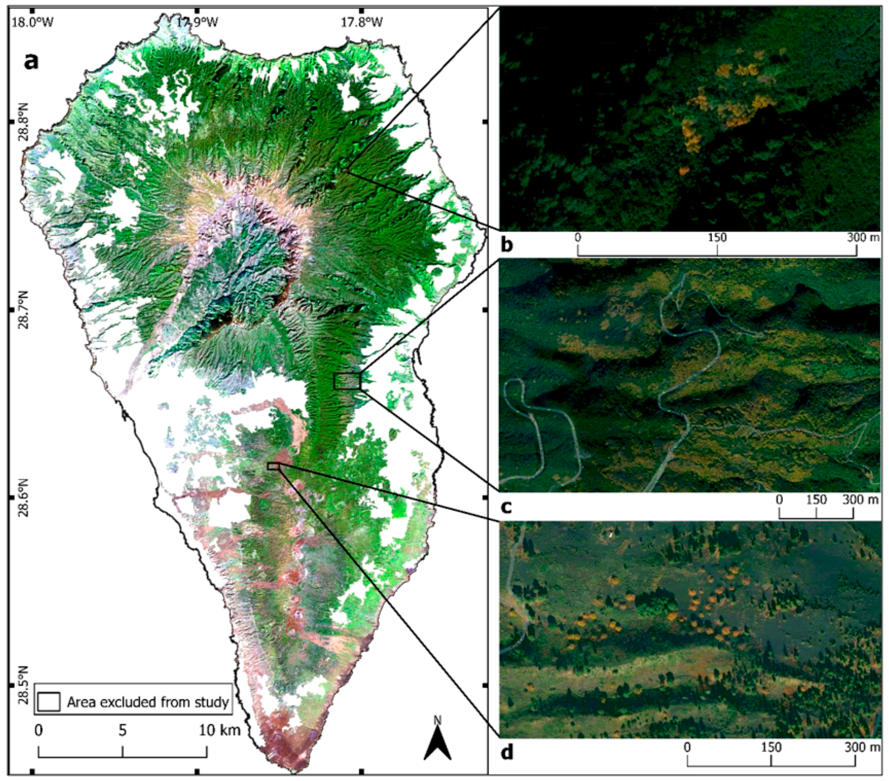 Remotesensing 12 04013 g001