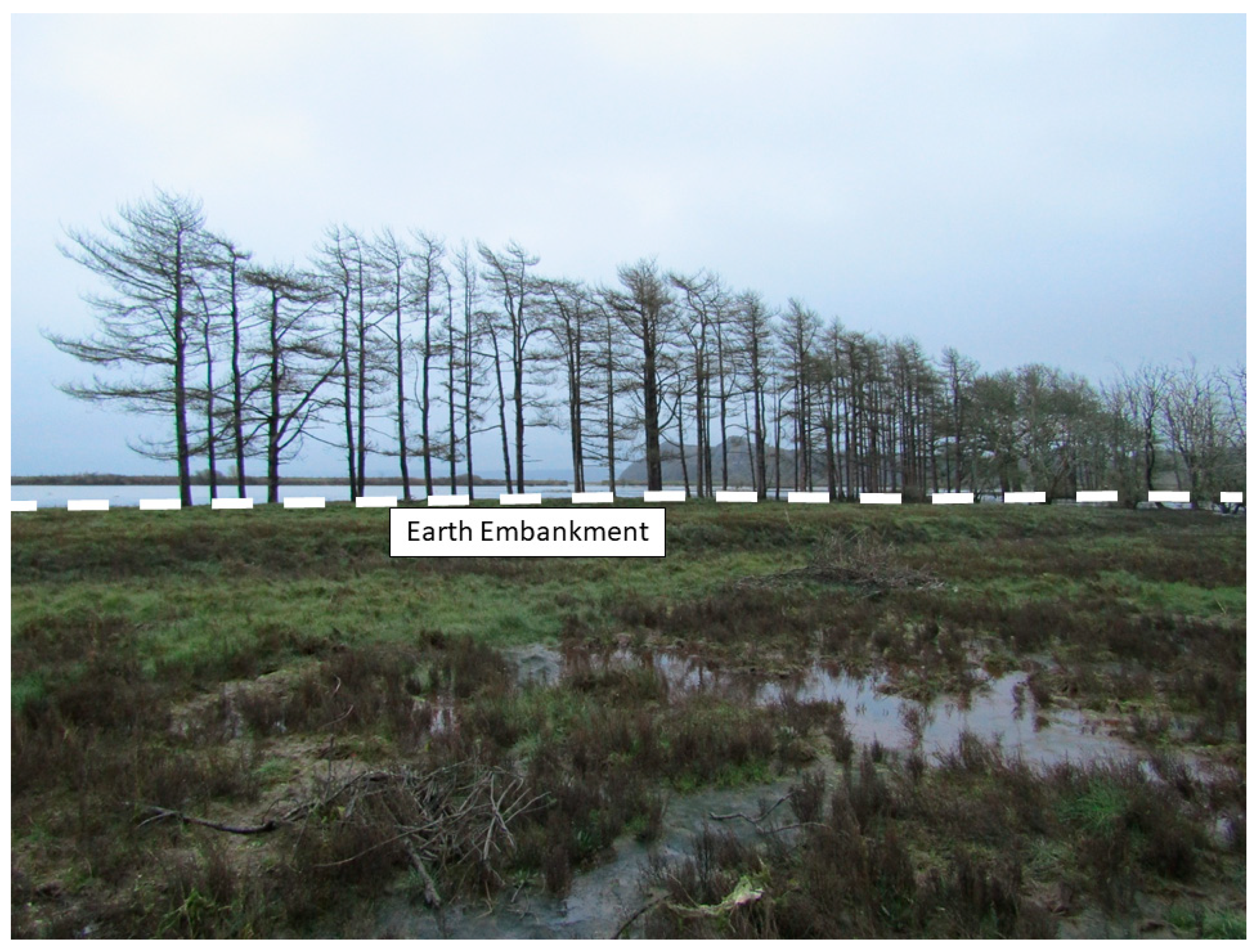 Remotesensing 12 04022 g003 Remotesensing 12 04022 g003