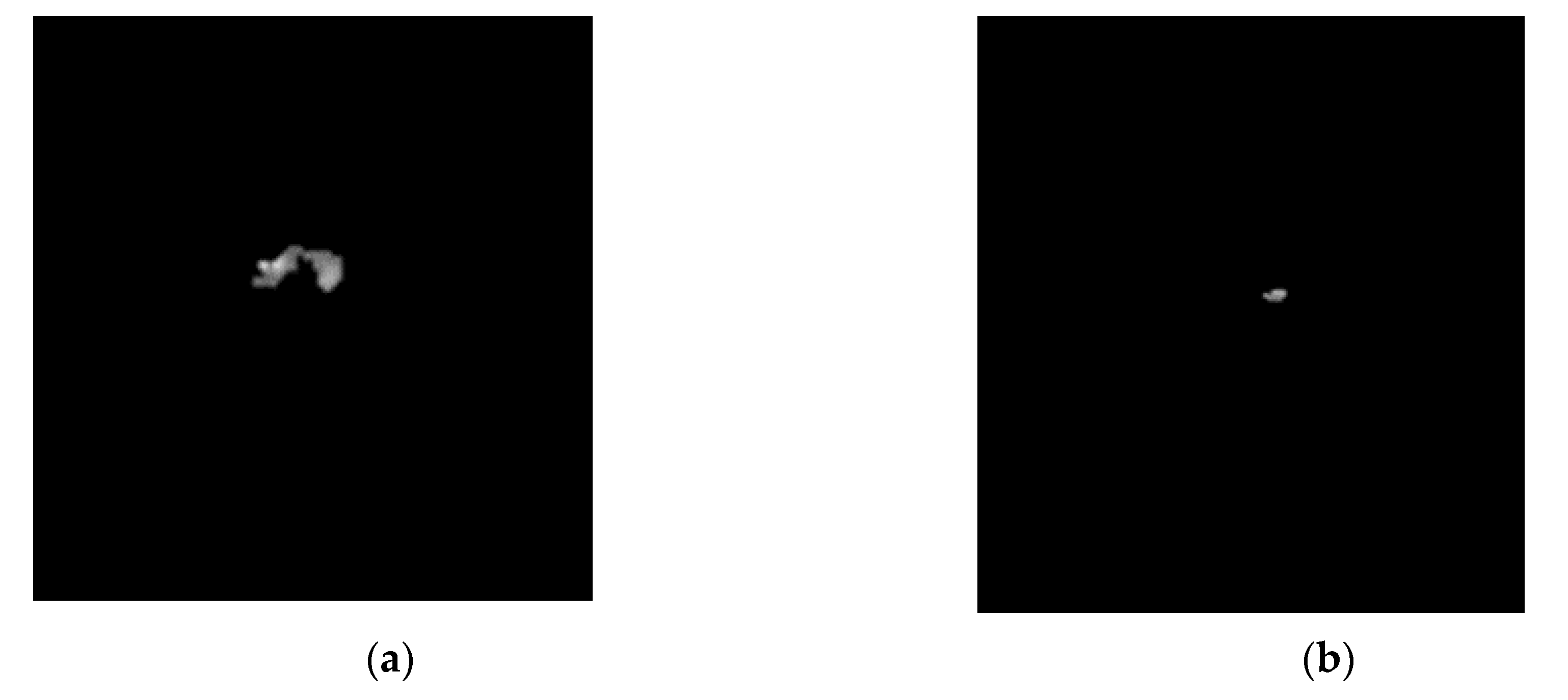 Remotesensing 12 04024 g004