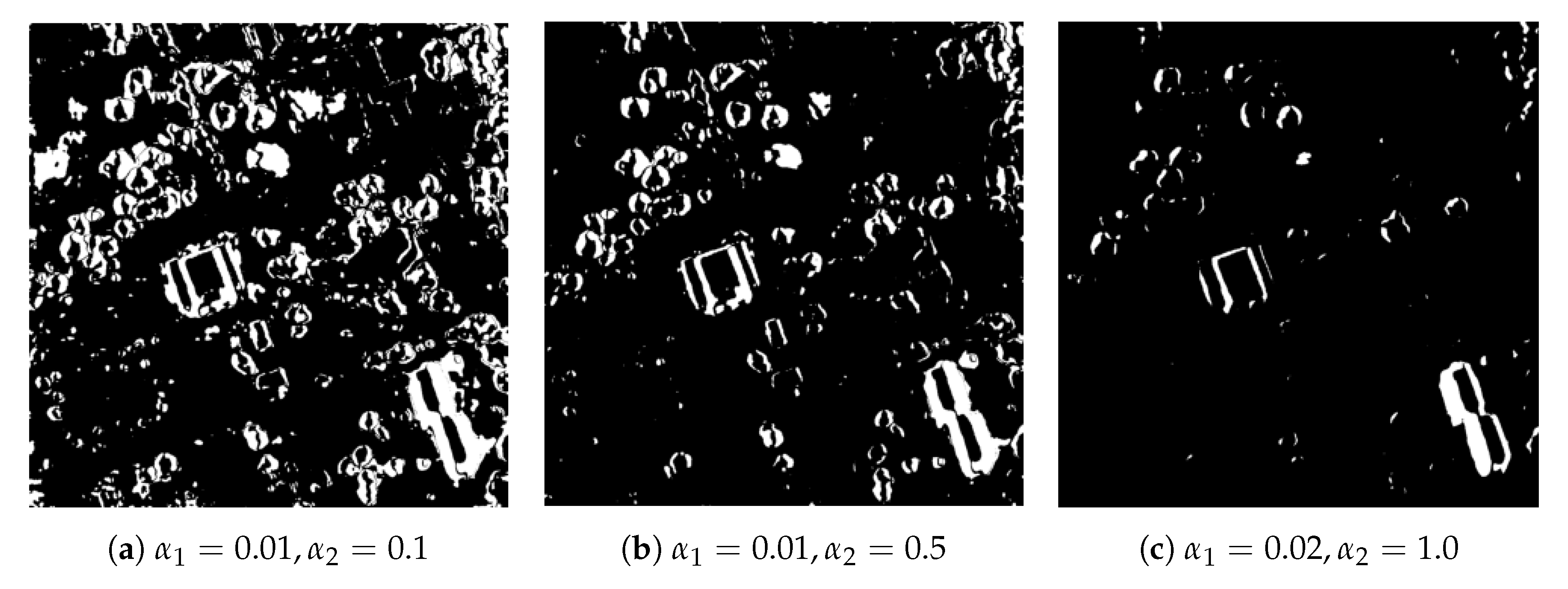 Remotesensing 12 04025 g012