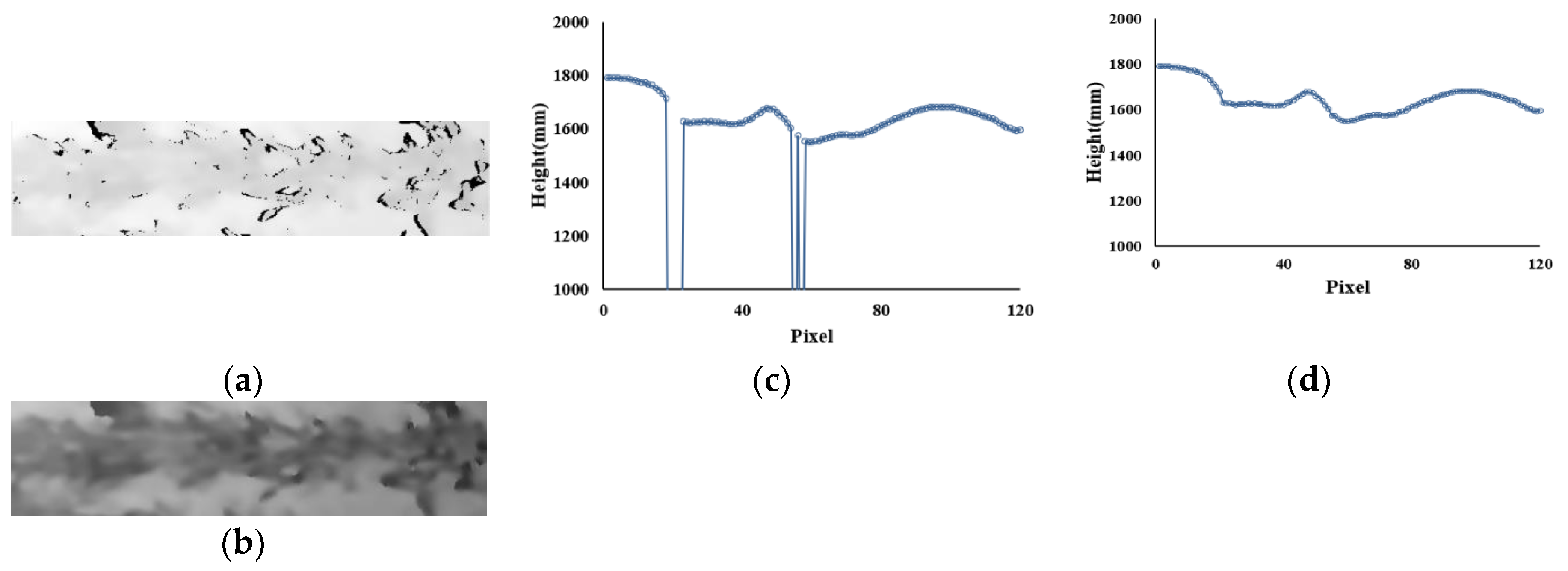 Remotesensing 12 04040 g005