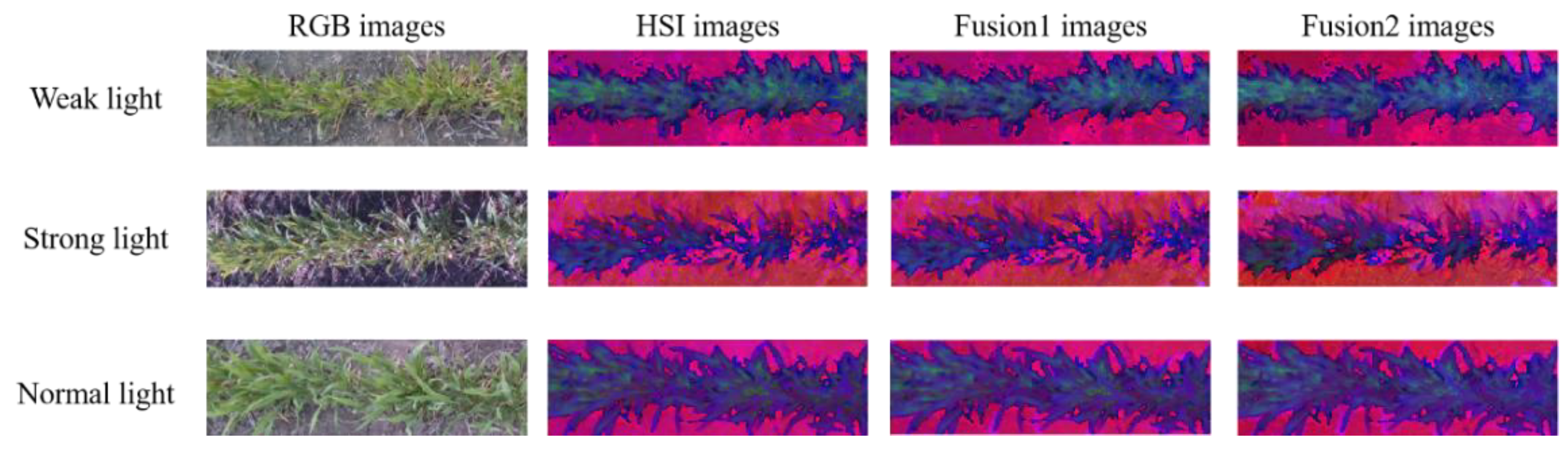 Remotesensing 12 04040 g008