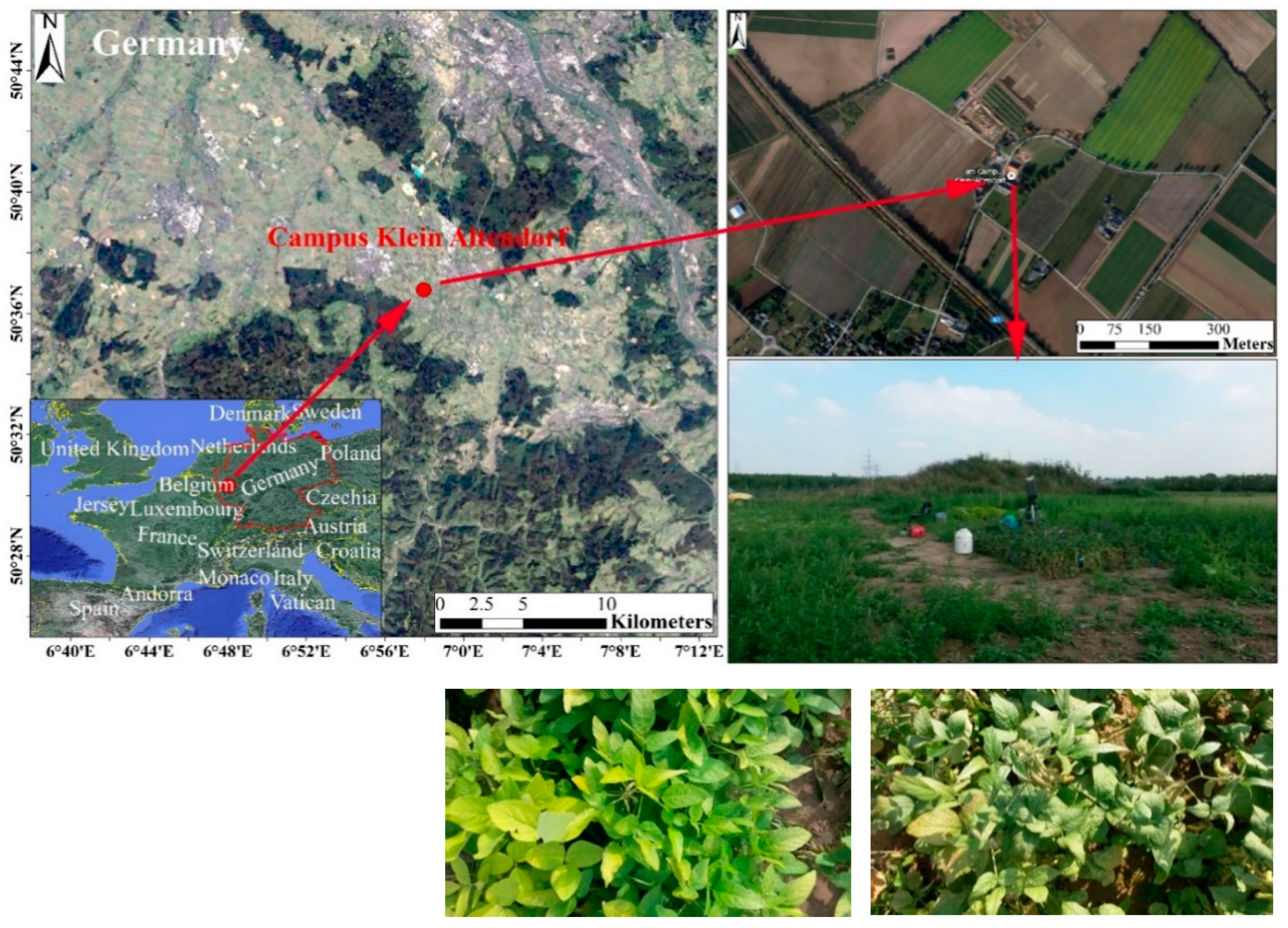 Remotesensing 12 04053 g001