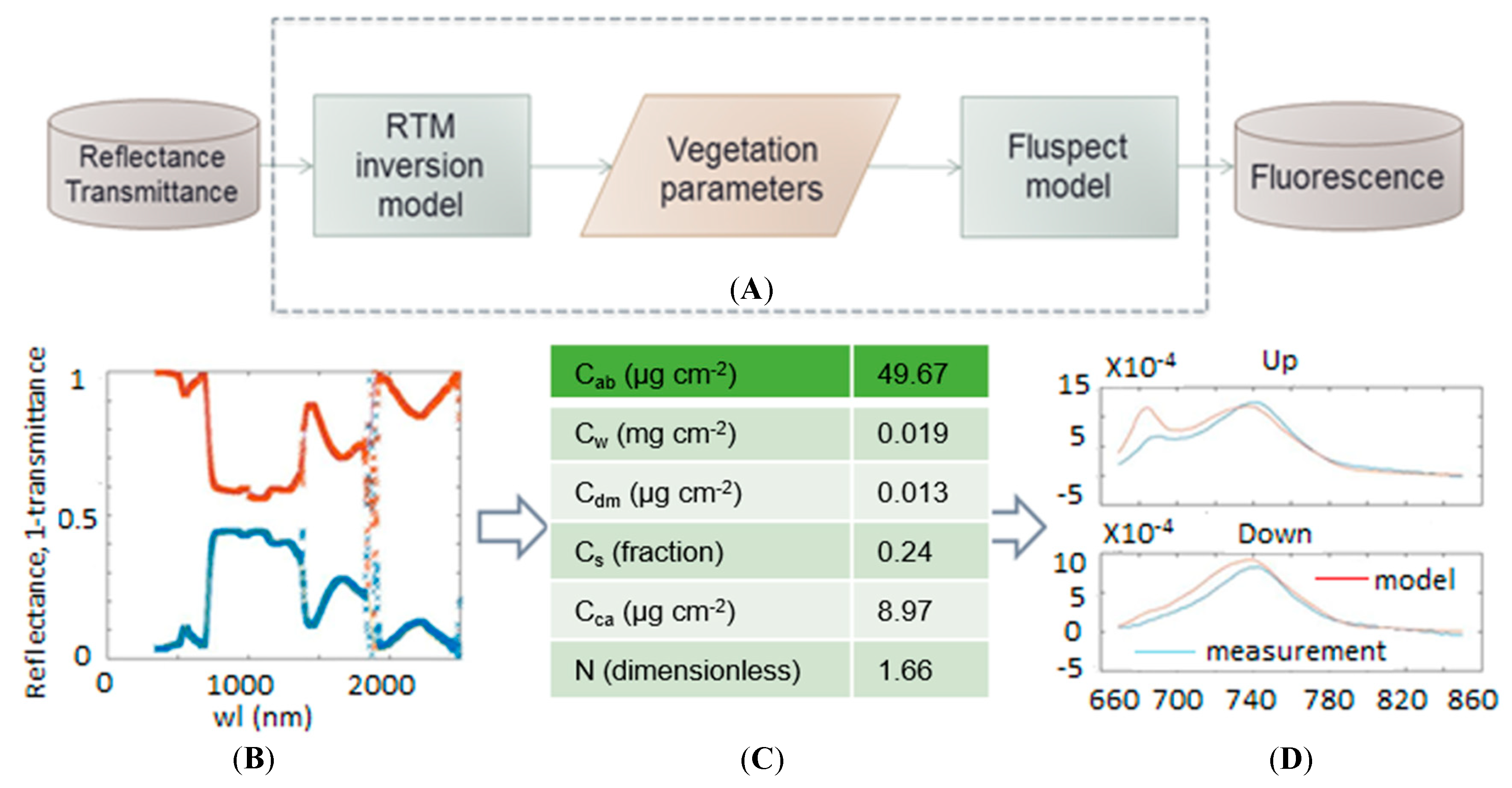 Remote Sensing | Free Full-Text | A New Fluorescence Quantum Yield ...