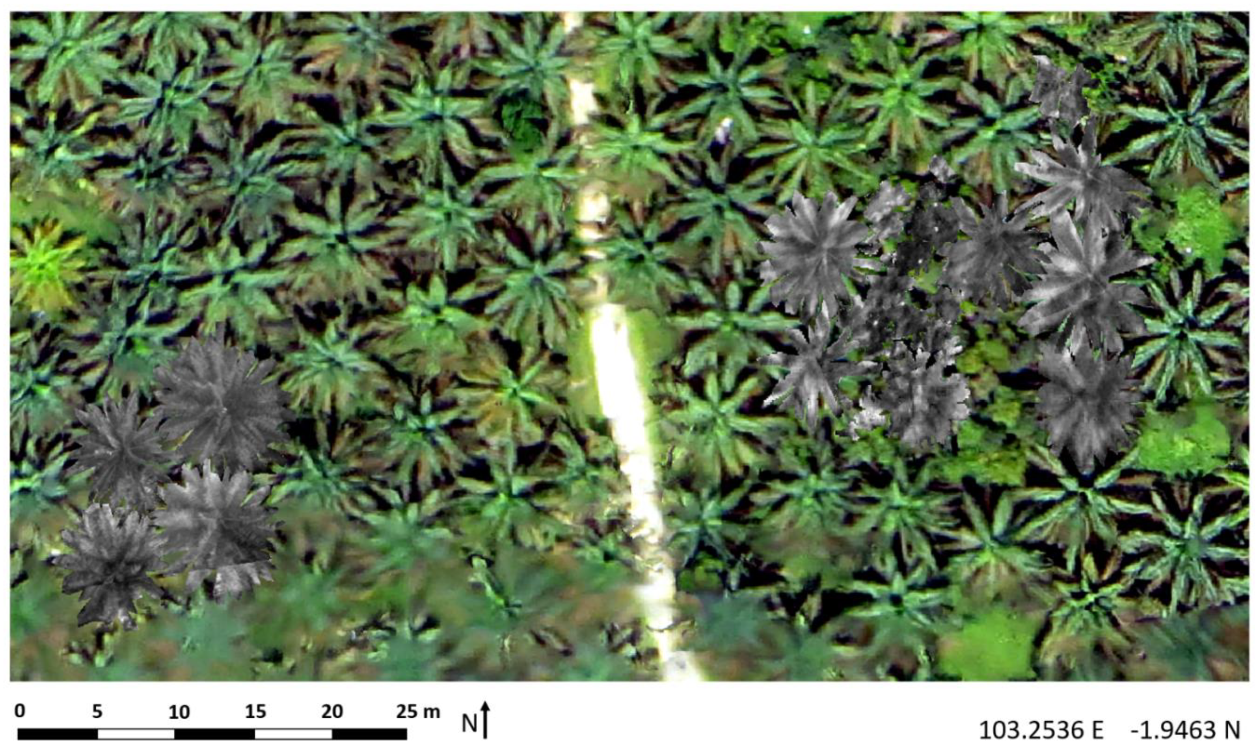 Remotesensing 12 04070 g001 Remotesensing 12 04070 g001