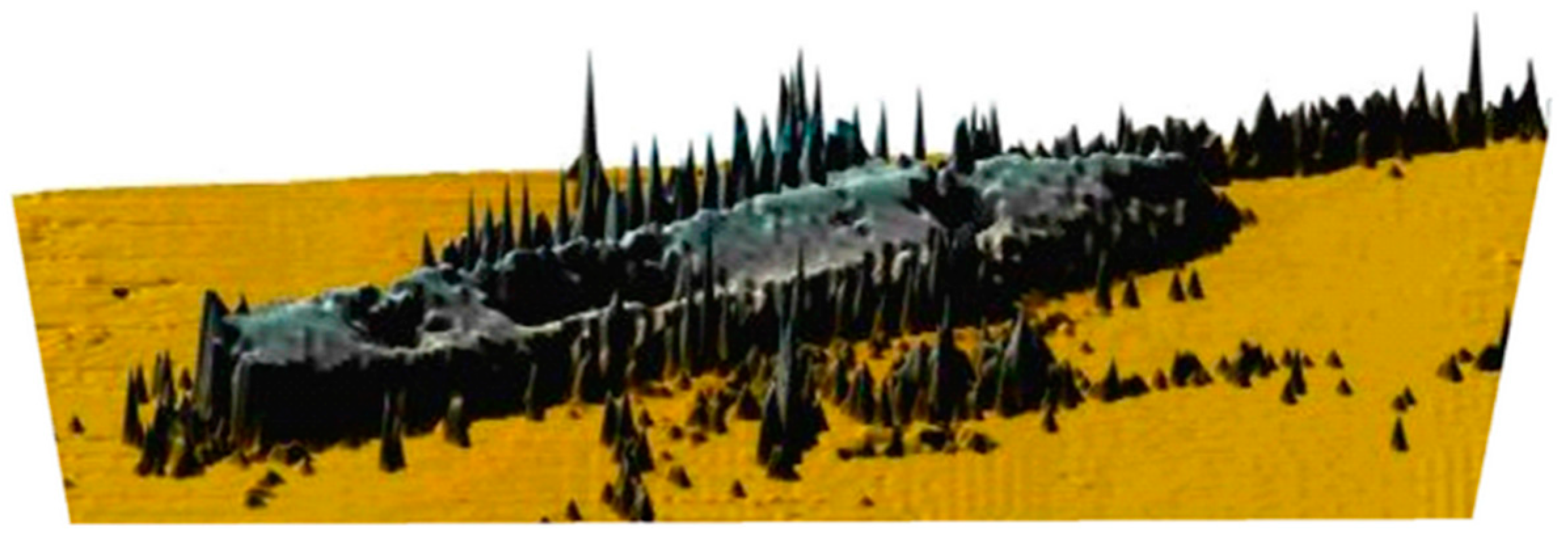 Remotesensing 12 04076 g002 Remotesensing 12 04076 g002