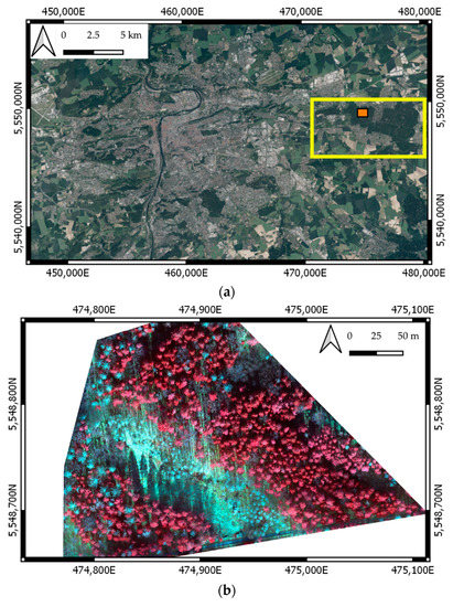 Remote Sensing Free Full Text Automatic Tree Crown Extraction From Uas Multispectral Imagery For The Detection Of Bark Beetle Disturbance In Mixed Forests Html
