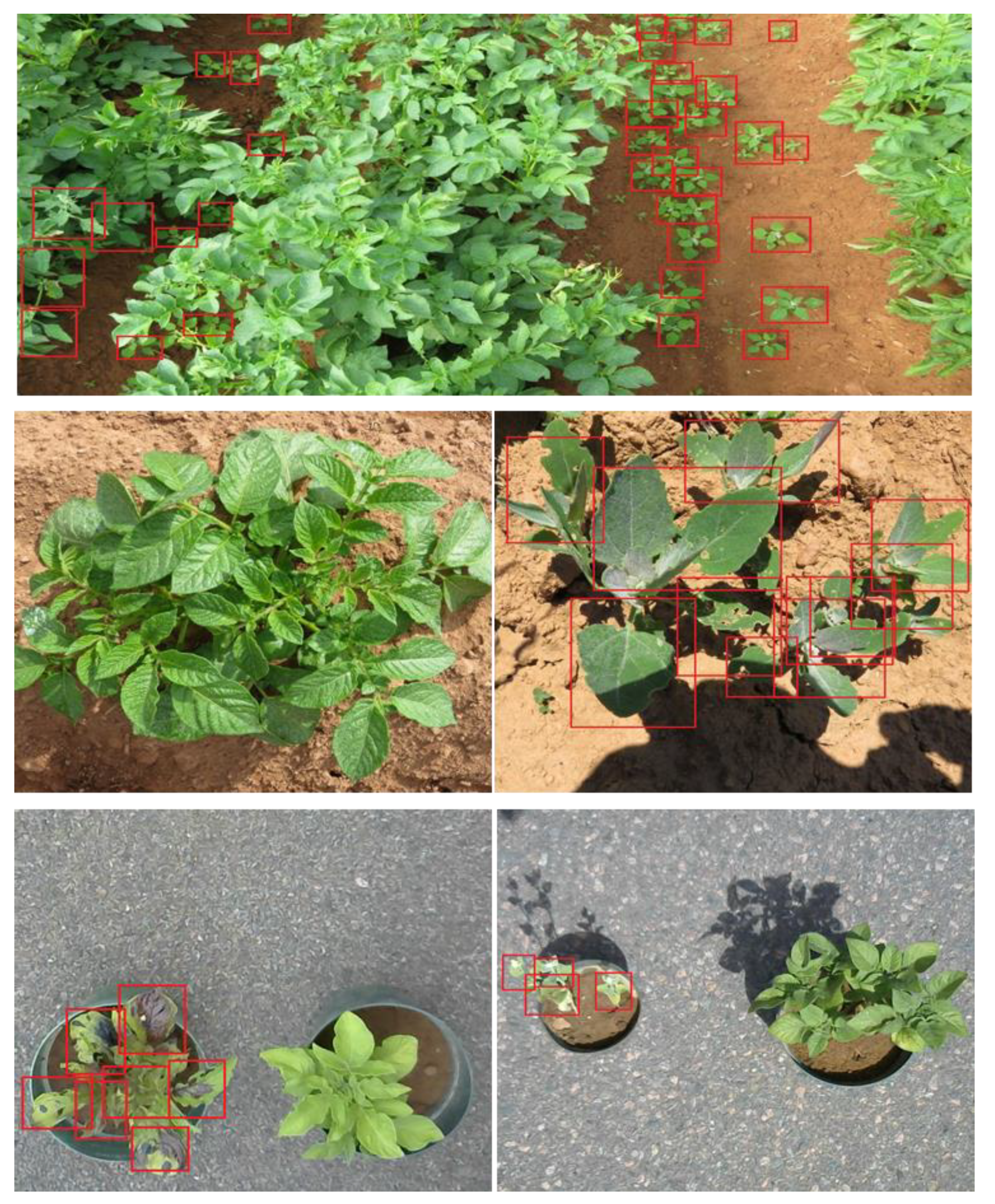 Remotesensing 12 04091 g004