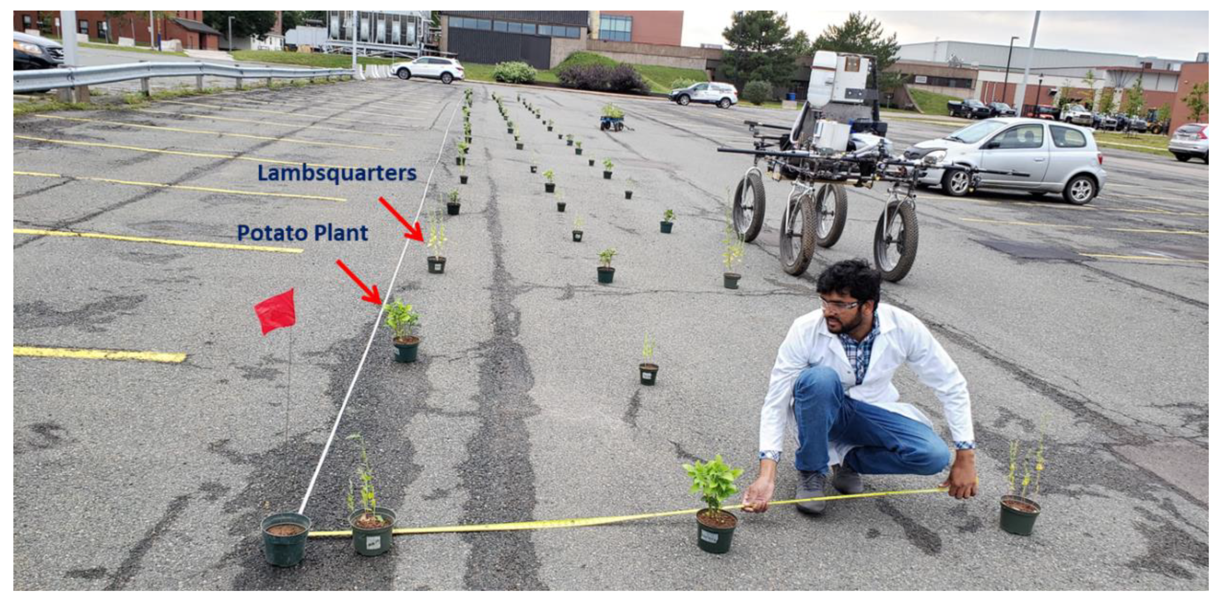 Remotesensing 12 04091 g006