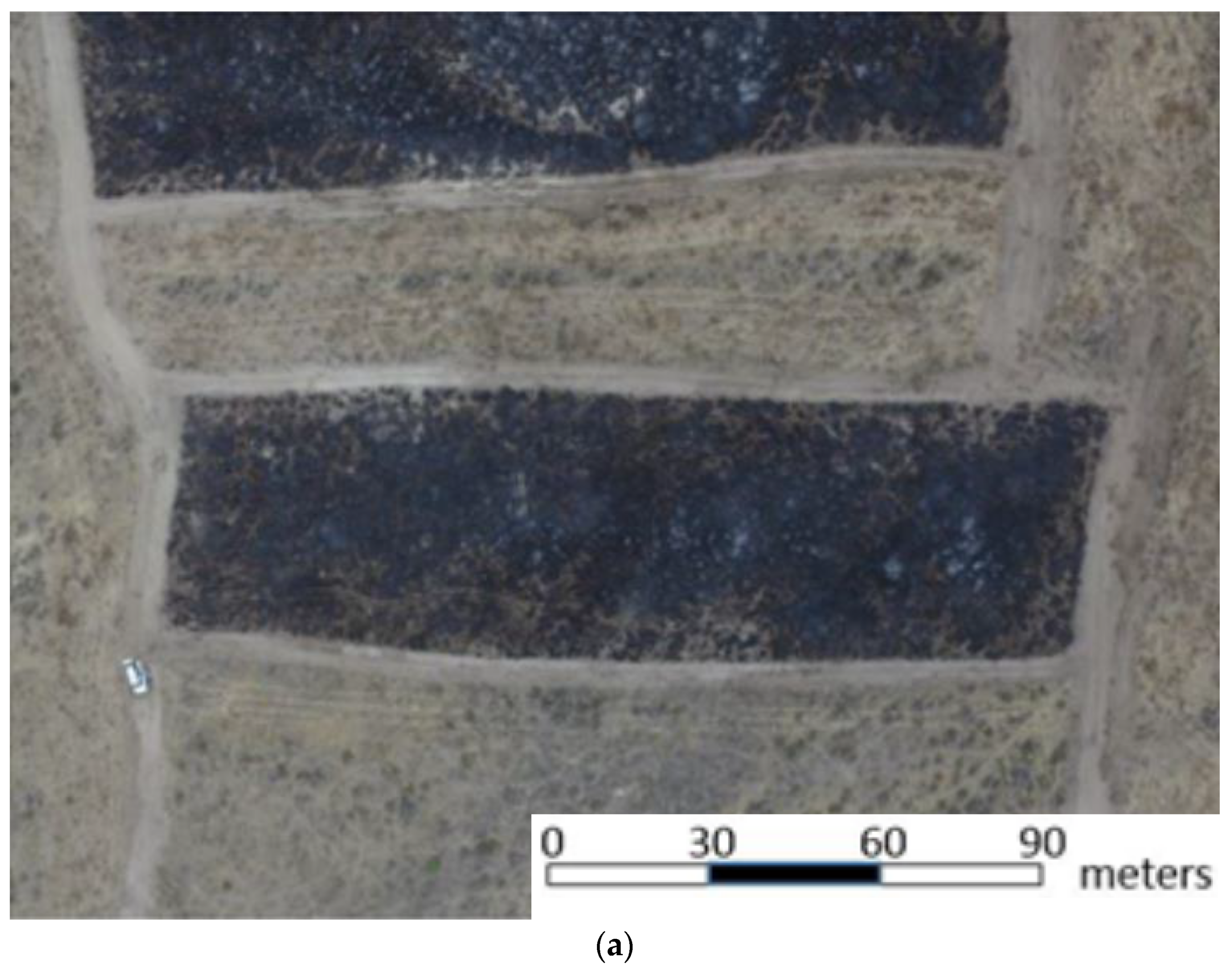 Remotesensing 12 04097 g002a Remotesensing 12 04097 g002a