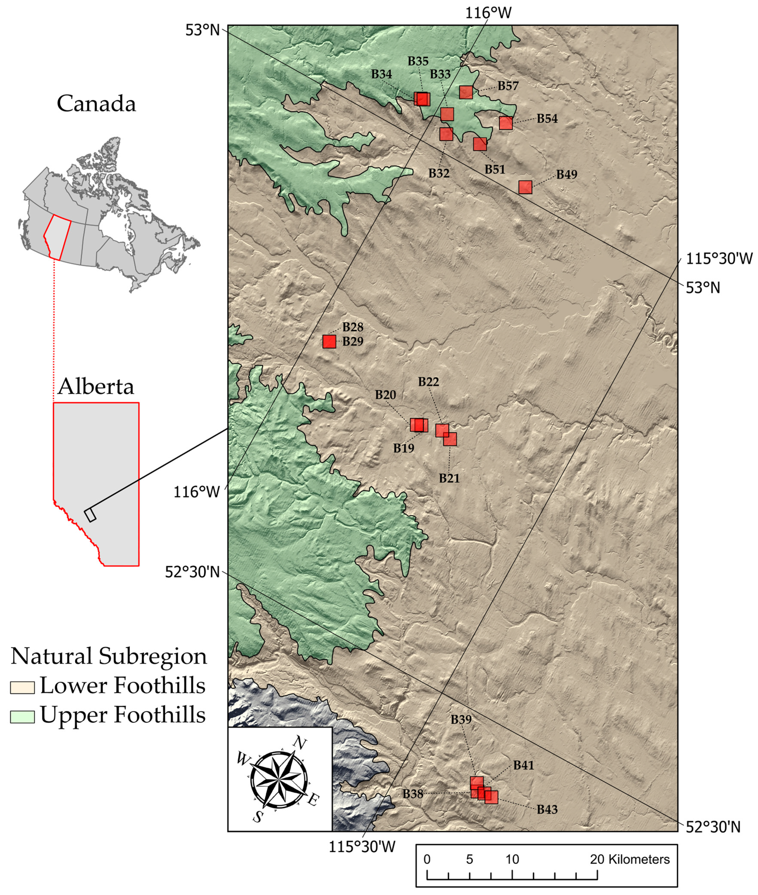 Remotesensing 12 04104 g001