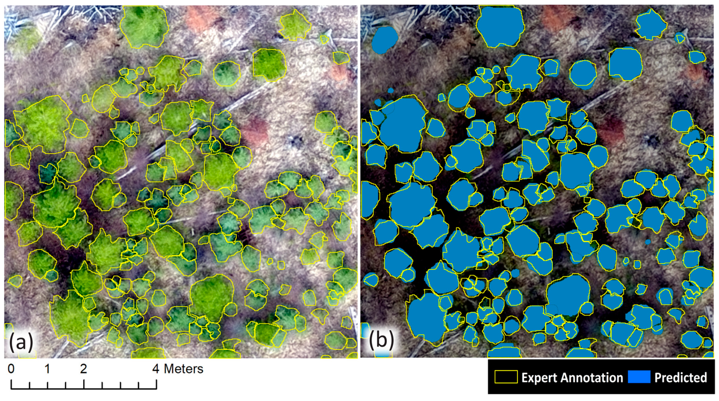 Remotesensing 12 04104 g006