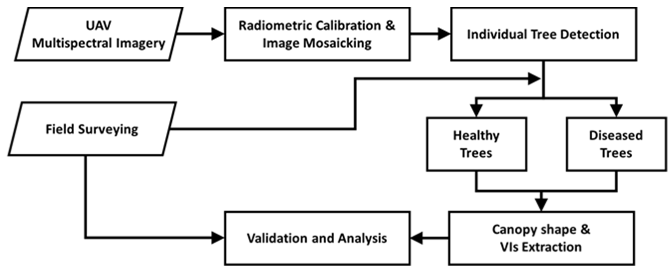 Remotesensing 12 04122 g001 Remotesensing 12 04122 g001