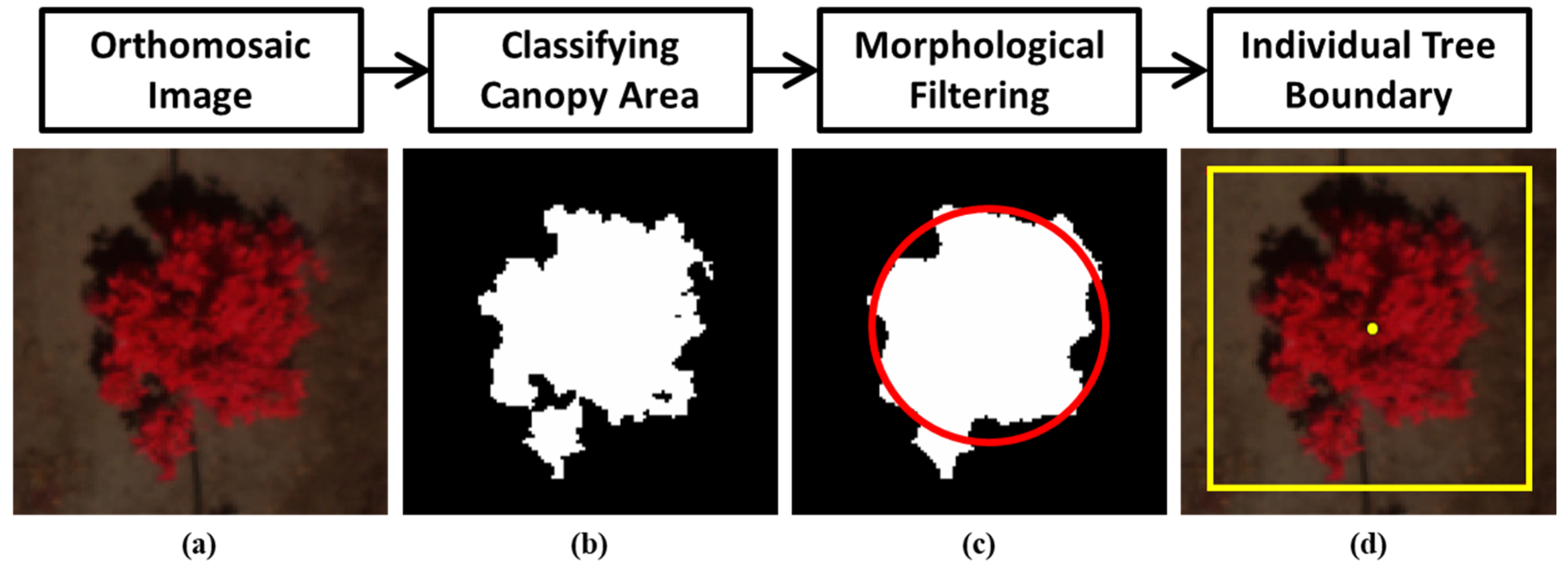 Remotesensing 12 04122 g002 Remotesensing 12 04122 g002