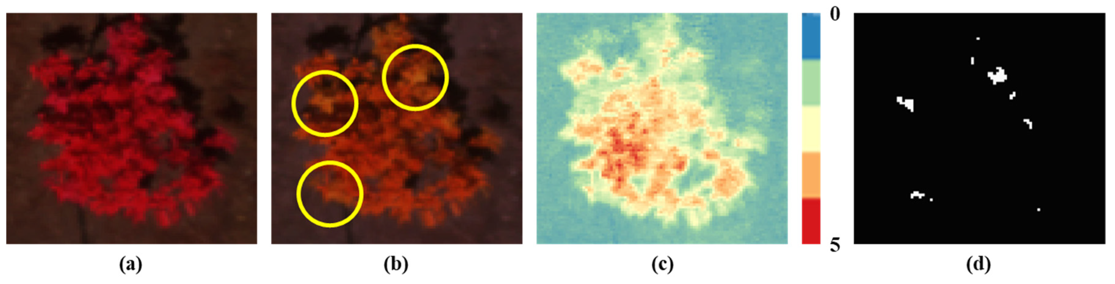 Remotesensing 12 04122 g004 Remotesensing 12 04122 g004