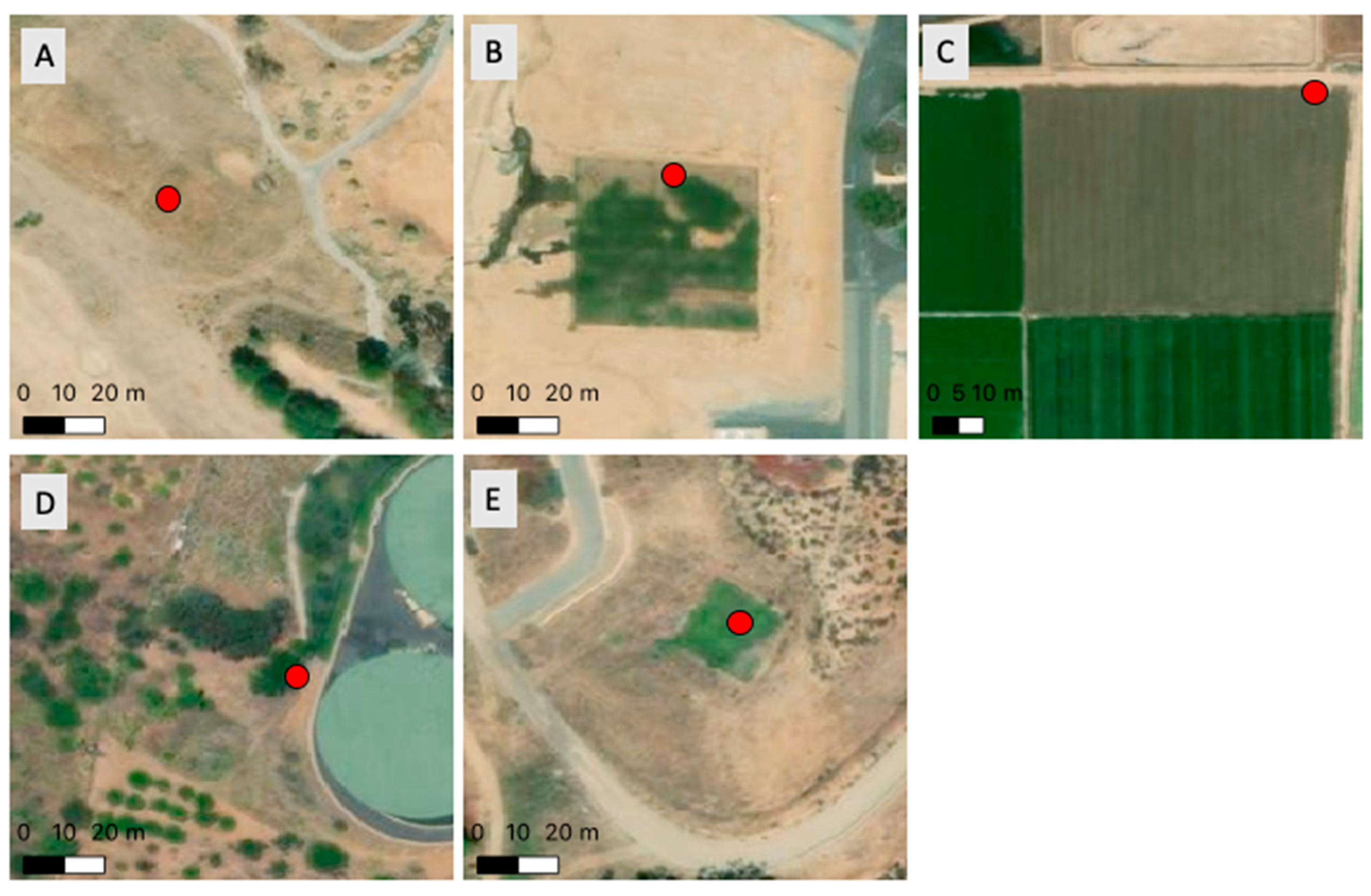 Remotesensing 12 04126 g002 Remotesensing 12 04126 g002