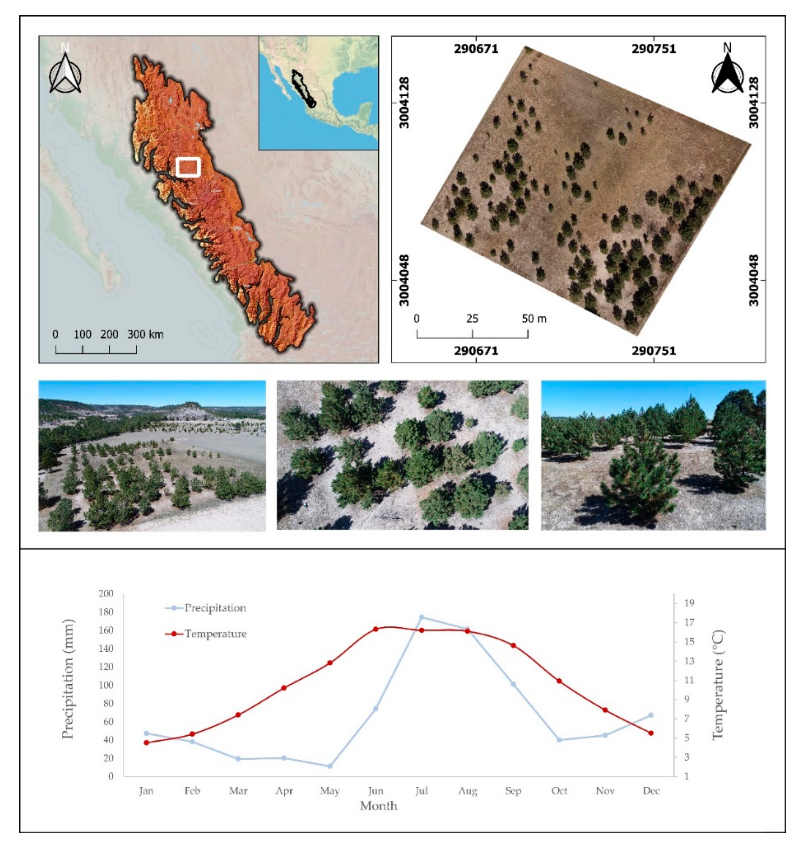 Remotesensing 12 04144 g001 Remotesensing 12 04144 g001