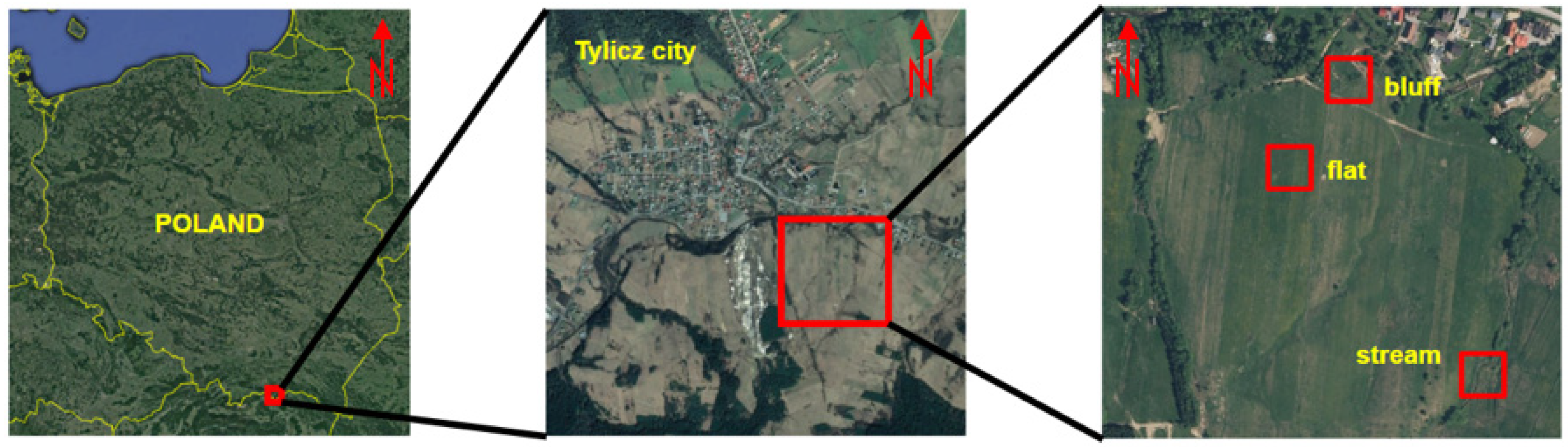 Remotesensing 12 04146 g001