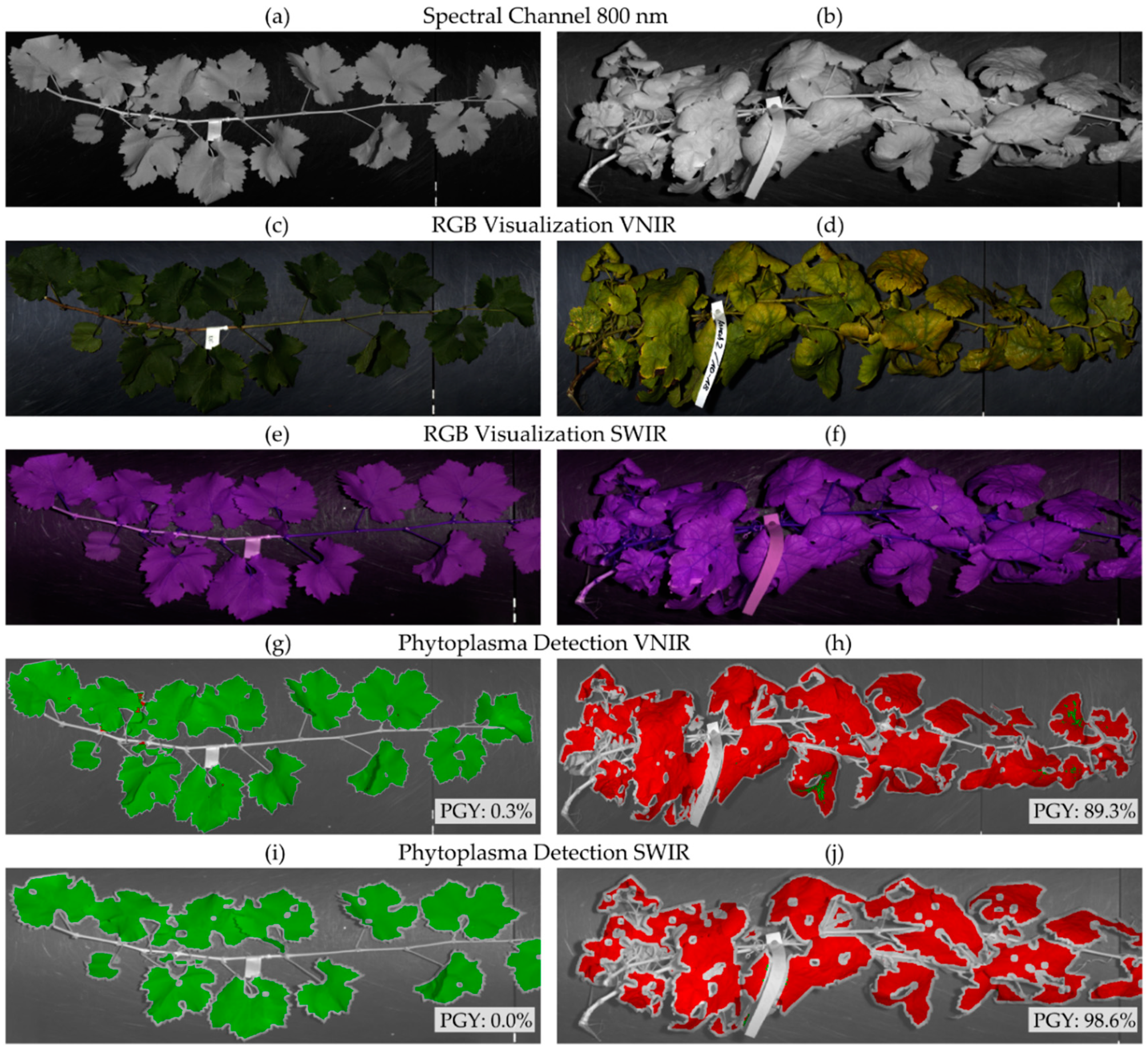 Remotesensing 12 04151 g003 Remotesensing 12 04151 g003