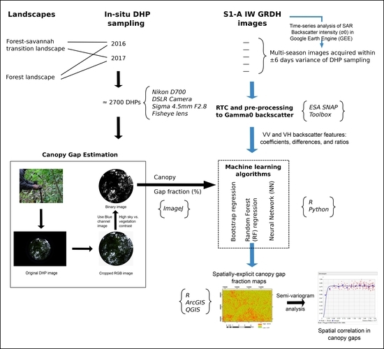 Remote Sensing Free Full Text Does Sentinel 1a Backscatter Capture The Spatial Variability In Canopy Gaps Of Tropical Agroforests A Proof Of Concept In Cocoa Landscapes In Cameroon Html