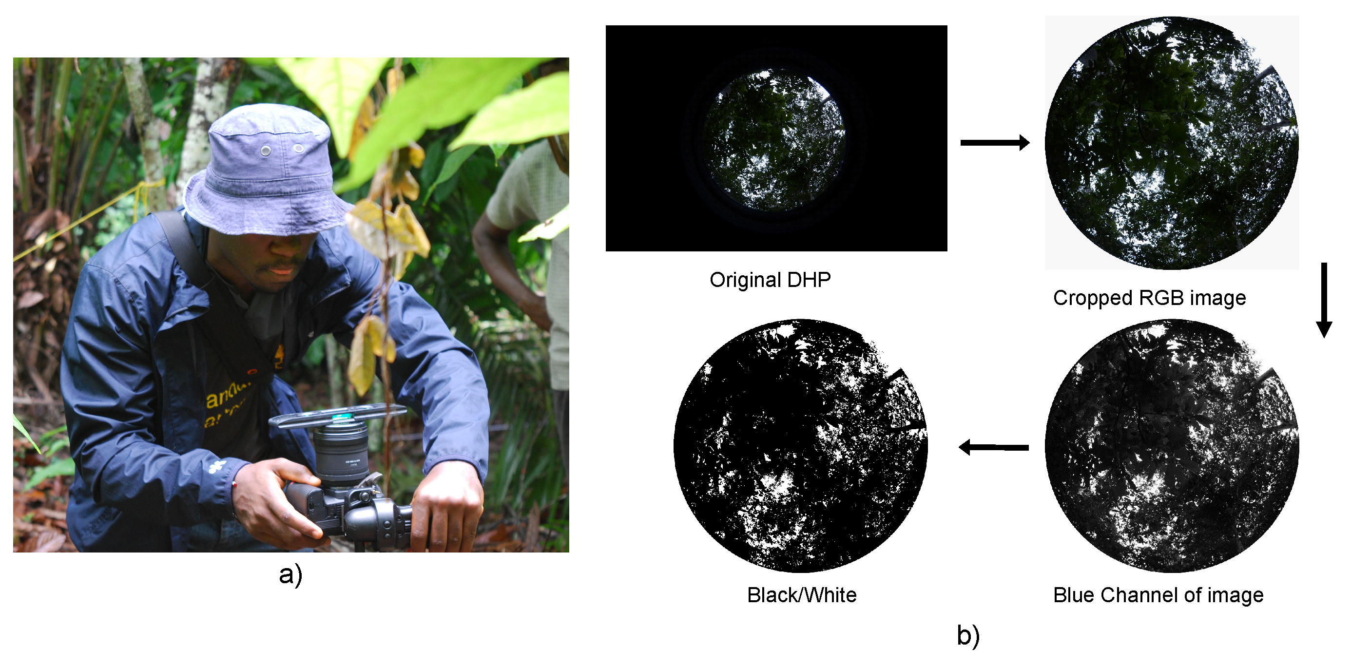 Remotesensing 12 04163 g002 Remotesensing 12 04163 g002