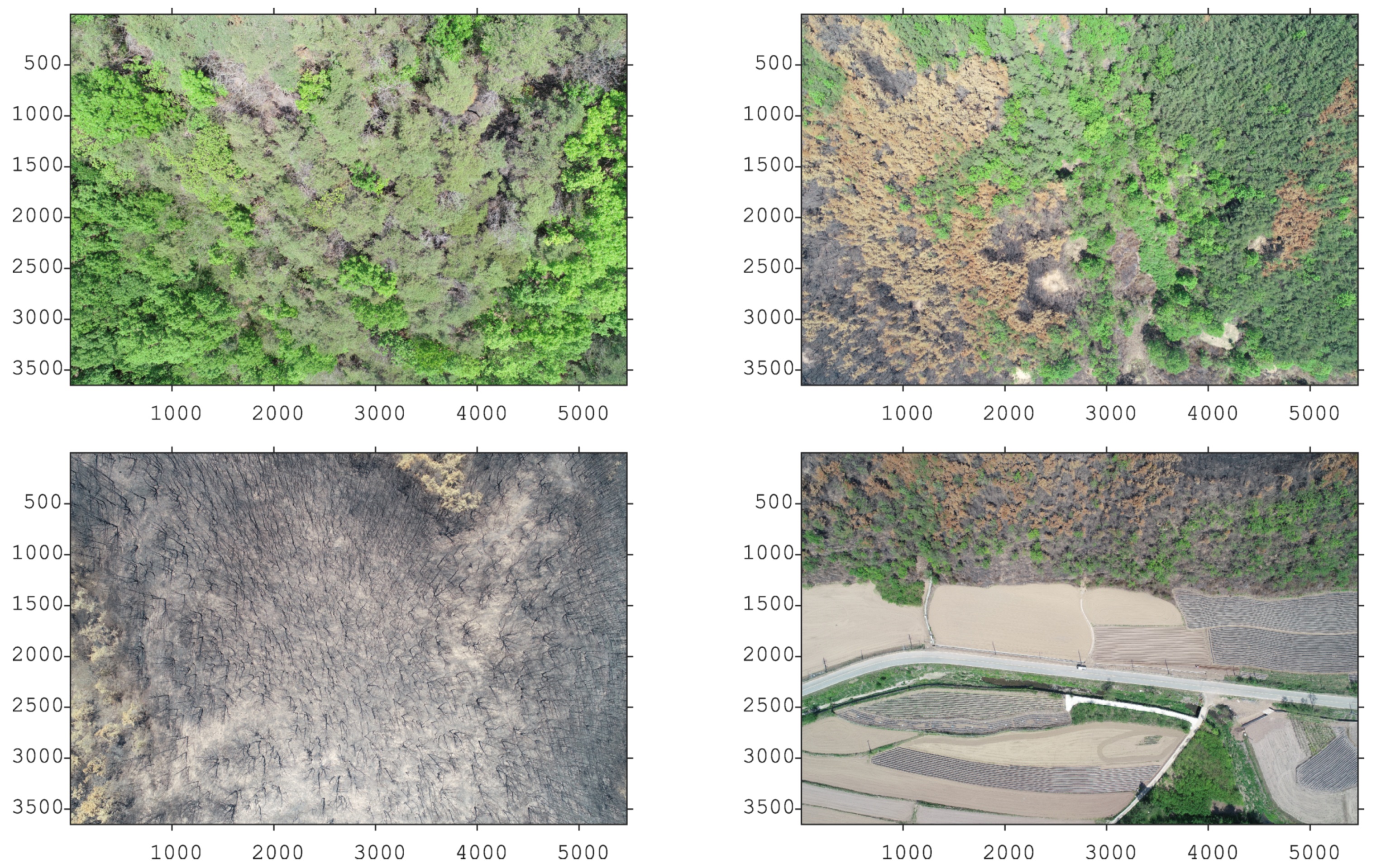 Remotesensing 12 04169 g003