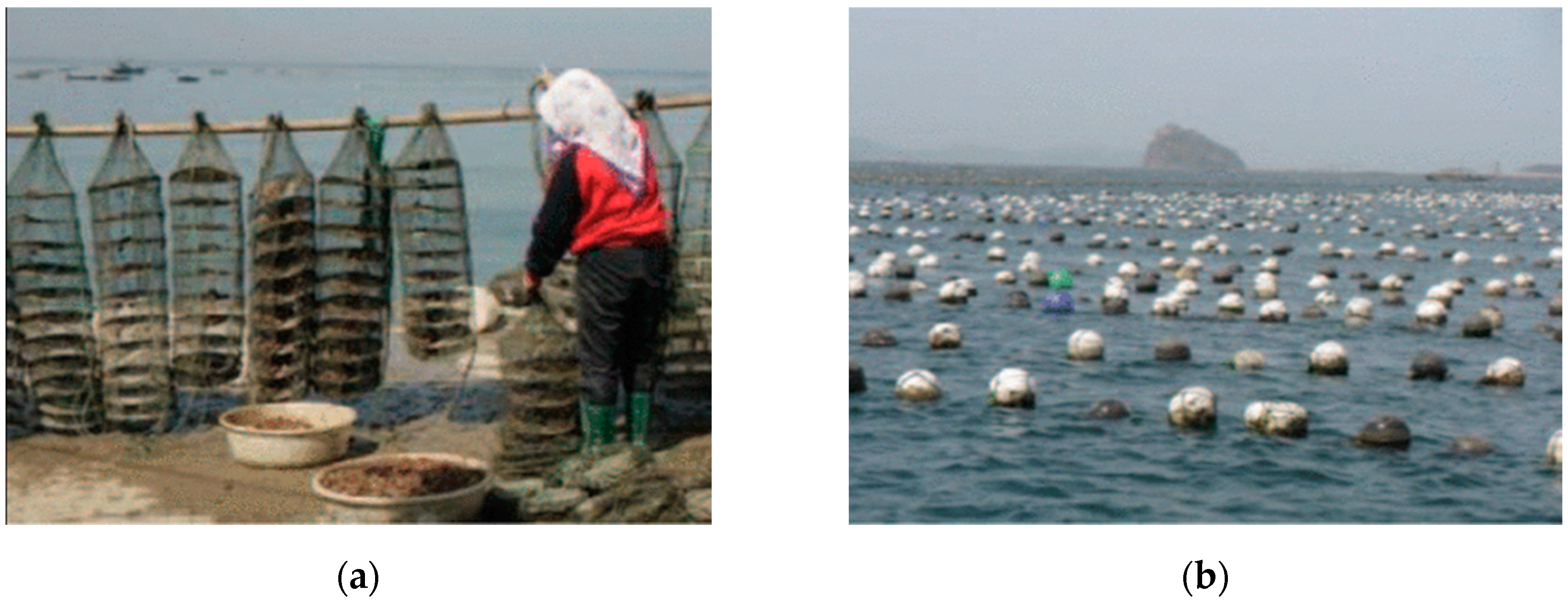 Remotesensing 12 04182 g001 Remotesensing 12 04182 g001