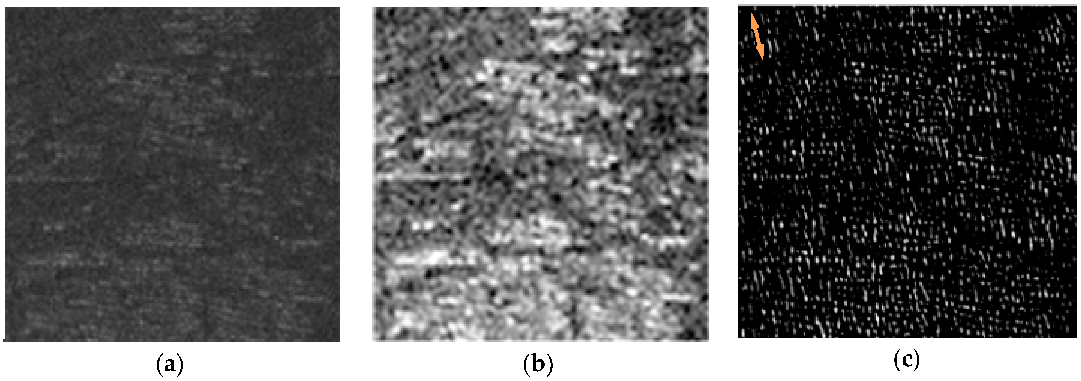 Remotesensing 12 04182 g006a Remotesensing 12 04182 g006a