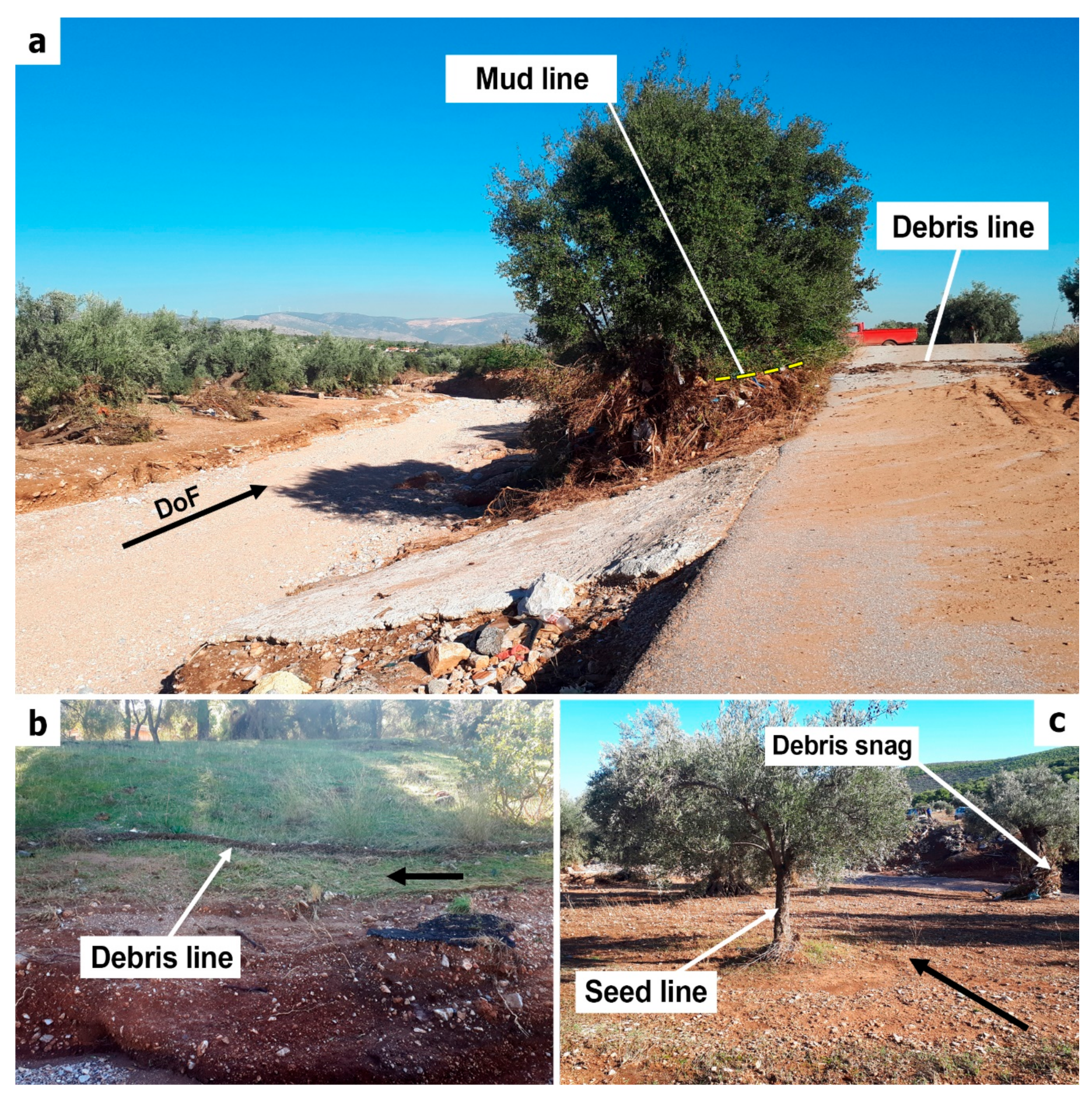 Remotesensing 12 04183 g004