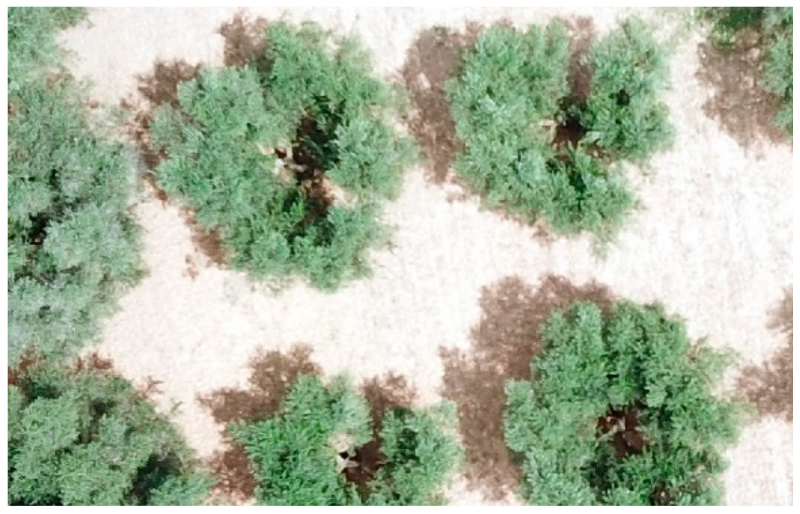 Remotesensing 13 00014 g003 Remotesensing 13 00014 g003