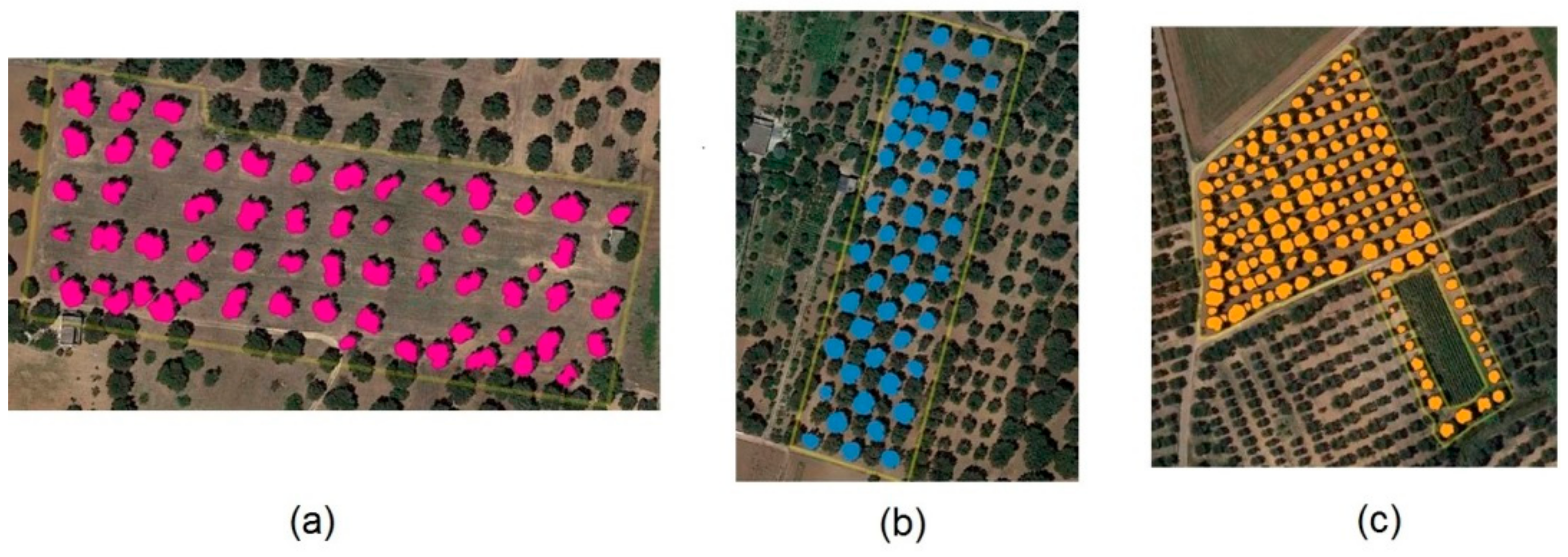 Remotesensing 13 00014 g005 Remotesensing 13 00014 g005