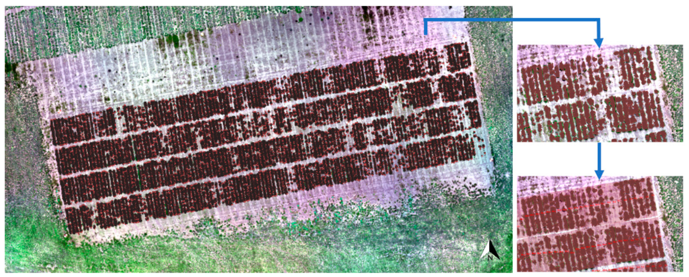 Remotesensing 13 00020 g010 Remotesensing 13 00020 g010