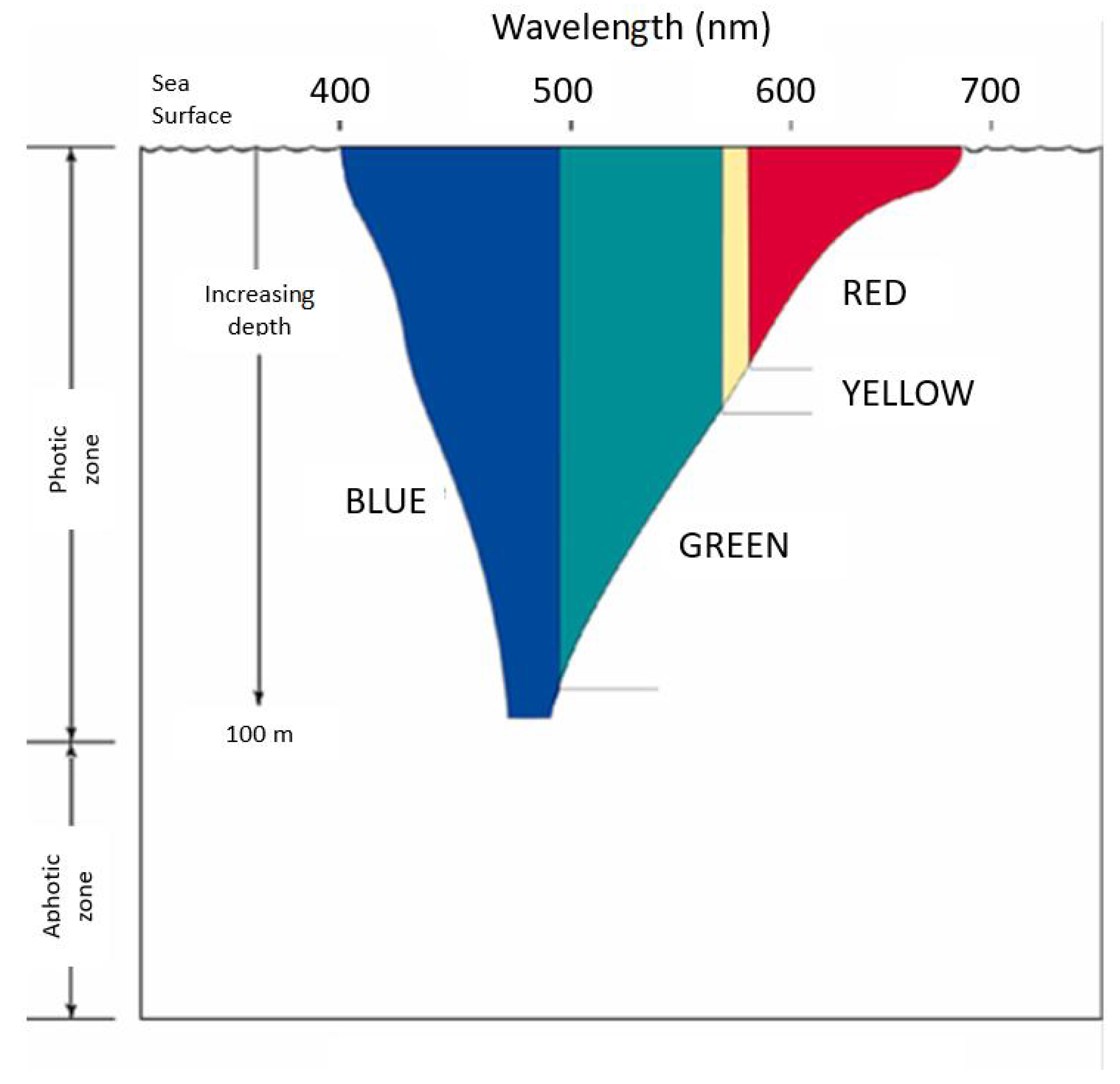 Remotesensing 13 00022 g001