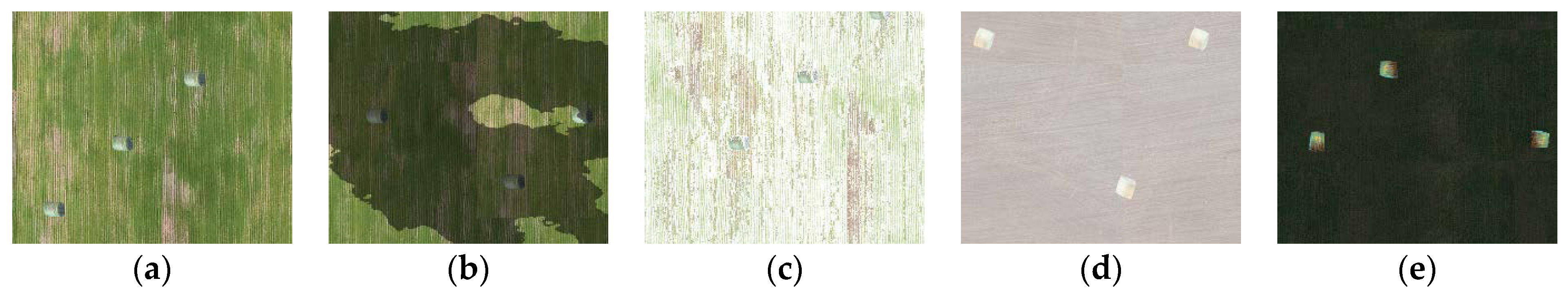 Remotesensing 13 00023 g010