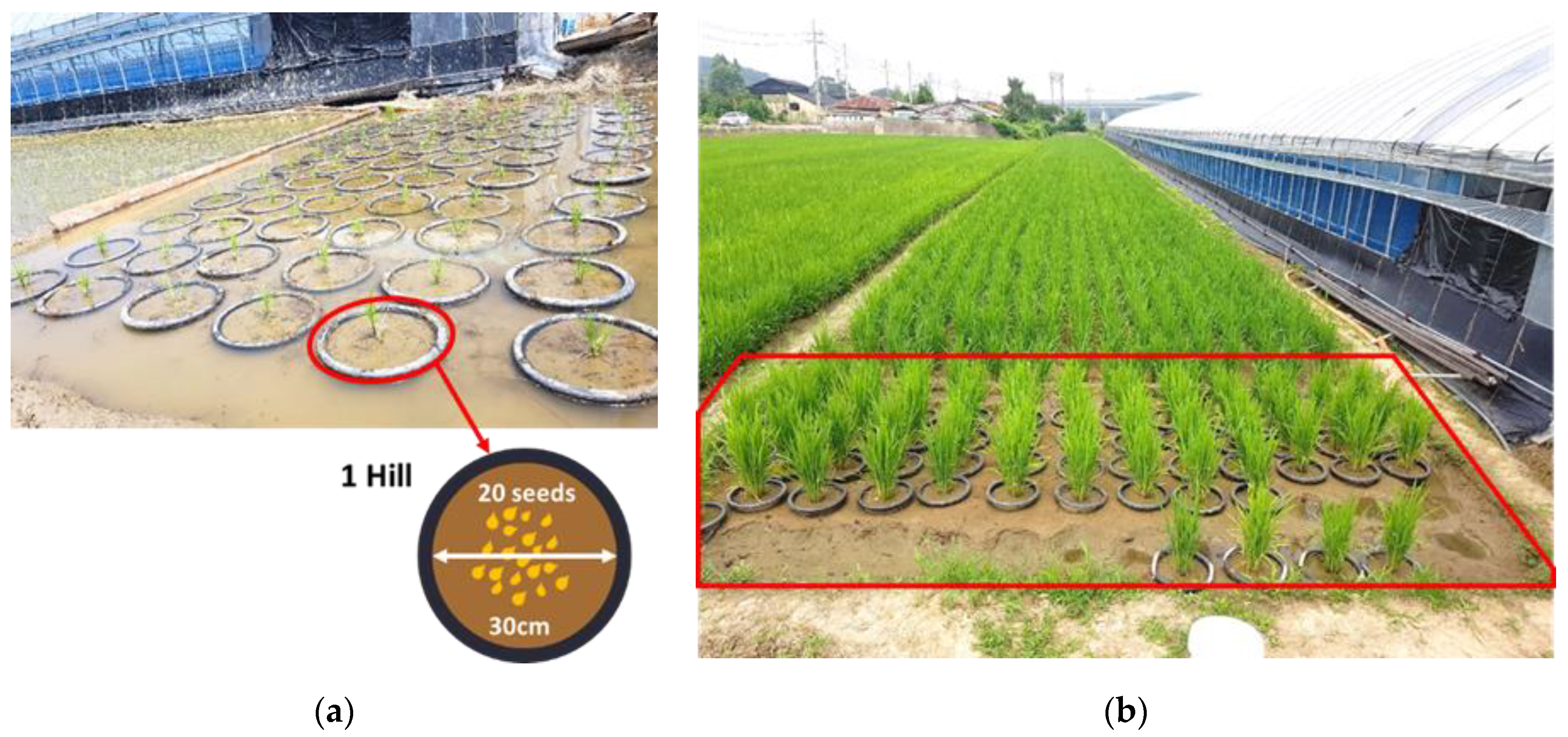 Remotesensing 13 00025 g001 Remotesensing 13 00025 g001