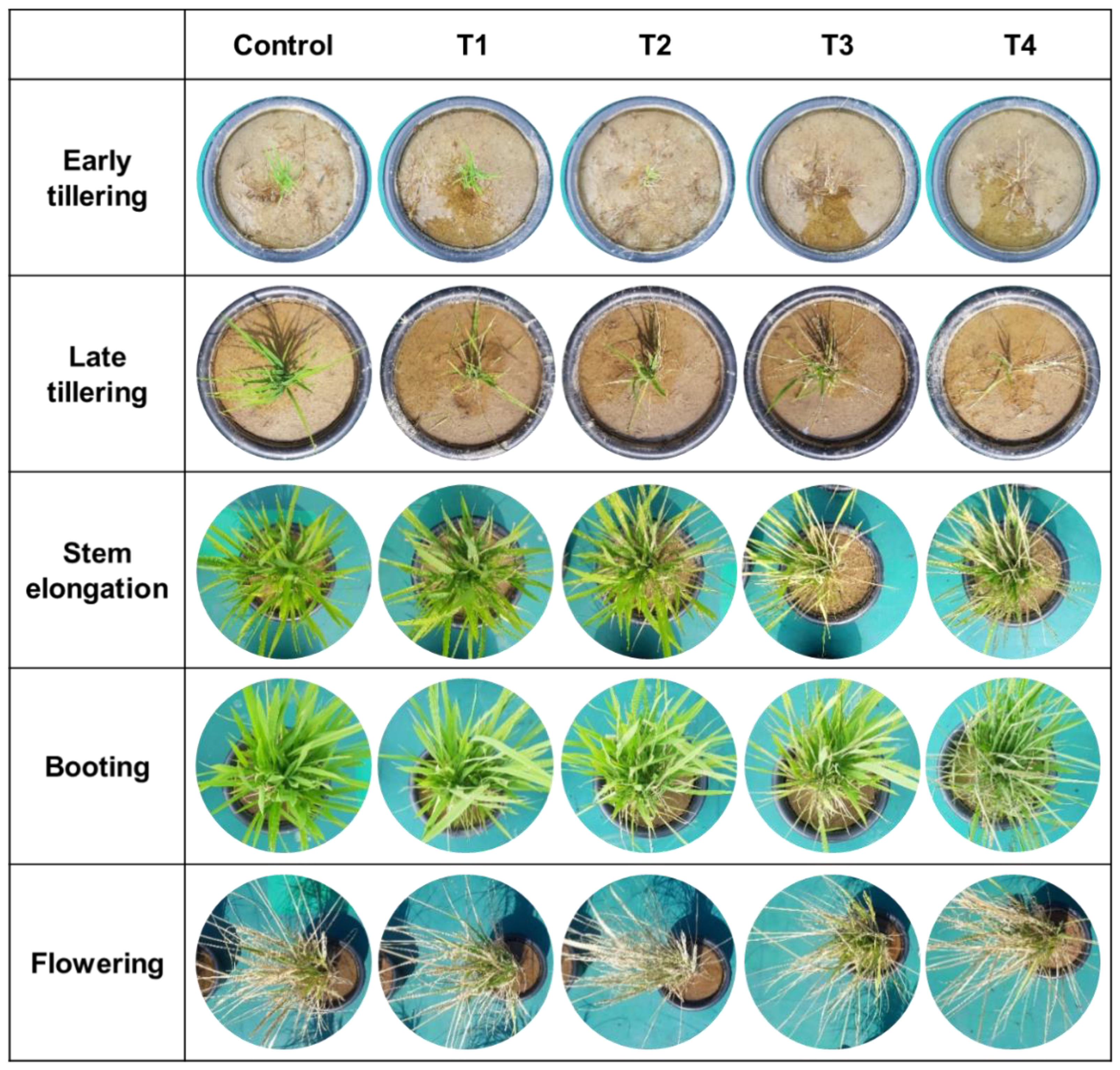 Remotesensing 13 00025 g006 Remotesensing 13 00025 g006