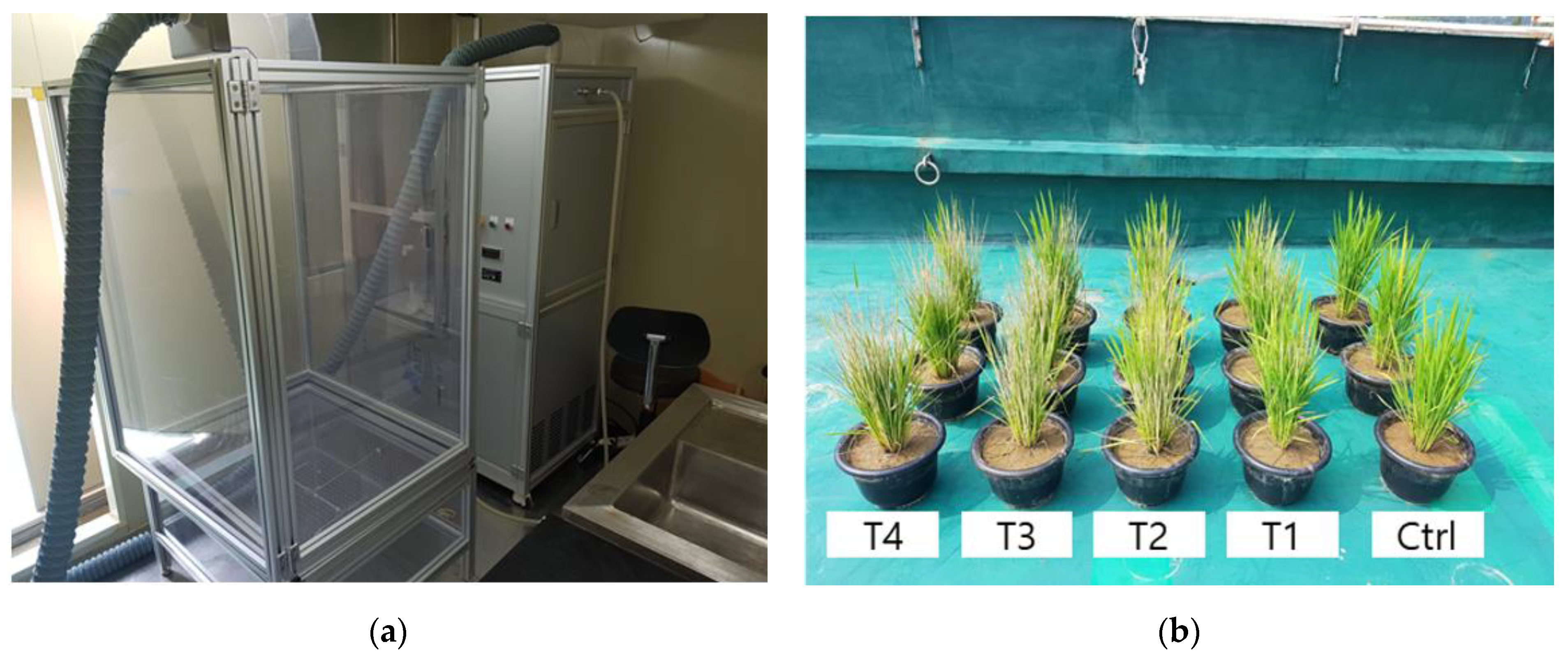 Remotesensing 13 00025 g0a1 Remotesensing 13 00025 g0a1