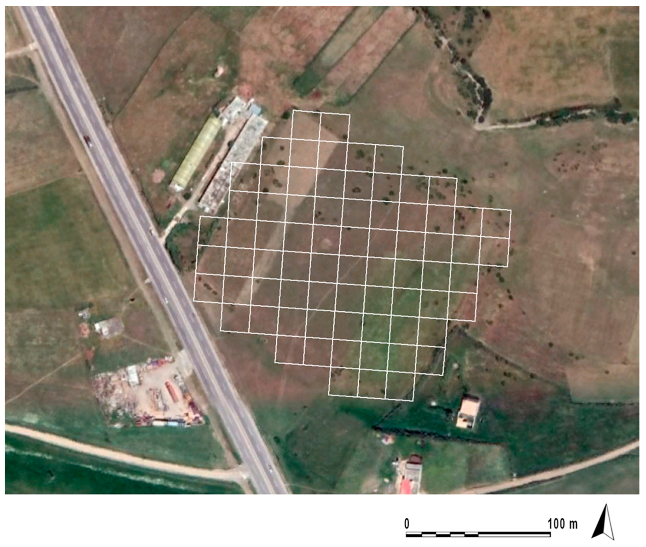 remote sensing free full text magnetic survey at the roman military camp of el benian in mauretania tingitana morocco results and implications html