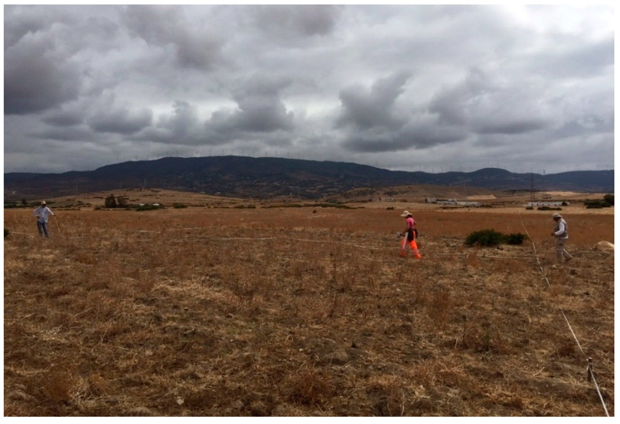 Remotesensing 13 00028 g005 Remotesensing 13 00028 g005