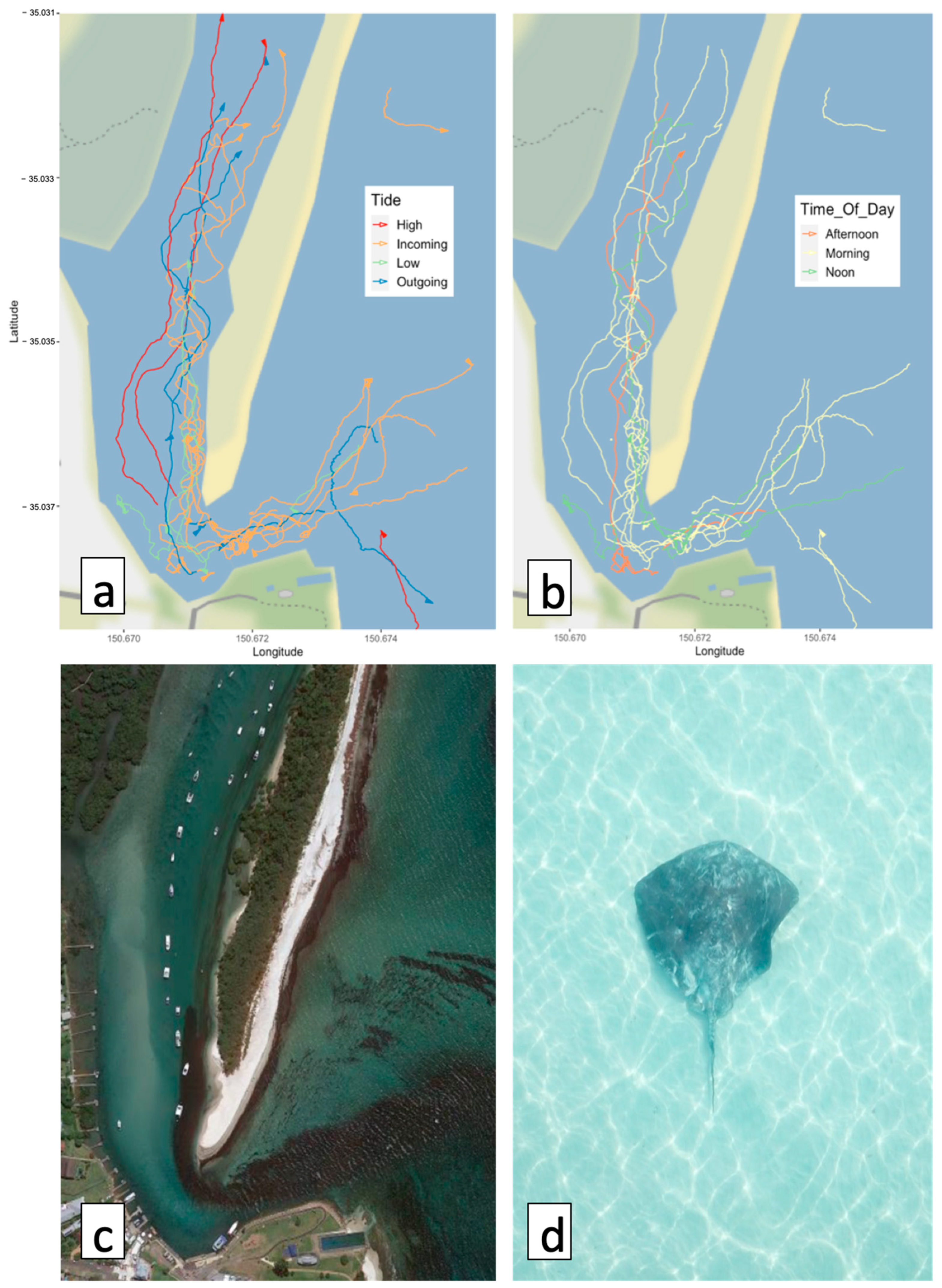 Remotesensing 13 00040 g005 Remotesensing 13 00040 g005