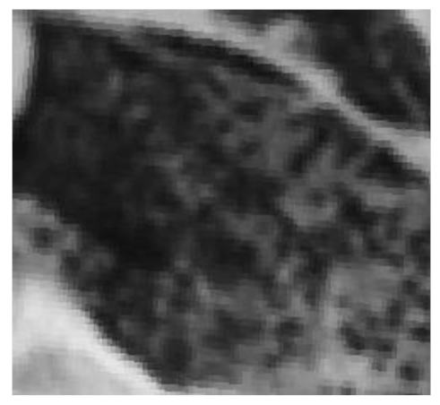 Remotesensing 13 00046 i003 Remotesensing 13 00046 i003