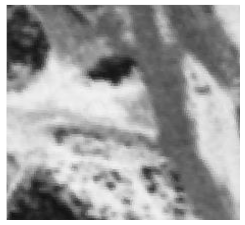 Remotesensing 13 00046 i009 Remotesensing 13 00046 i009