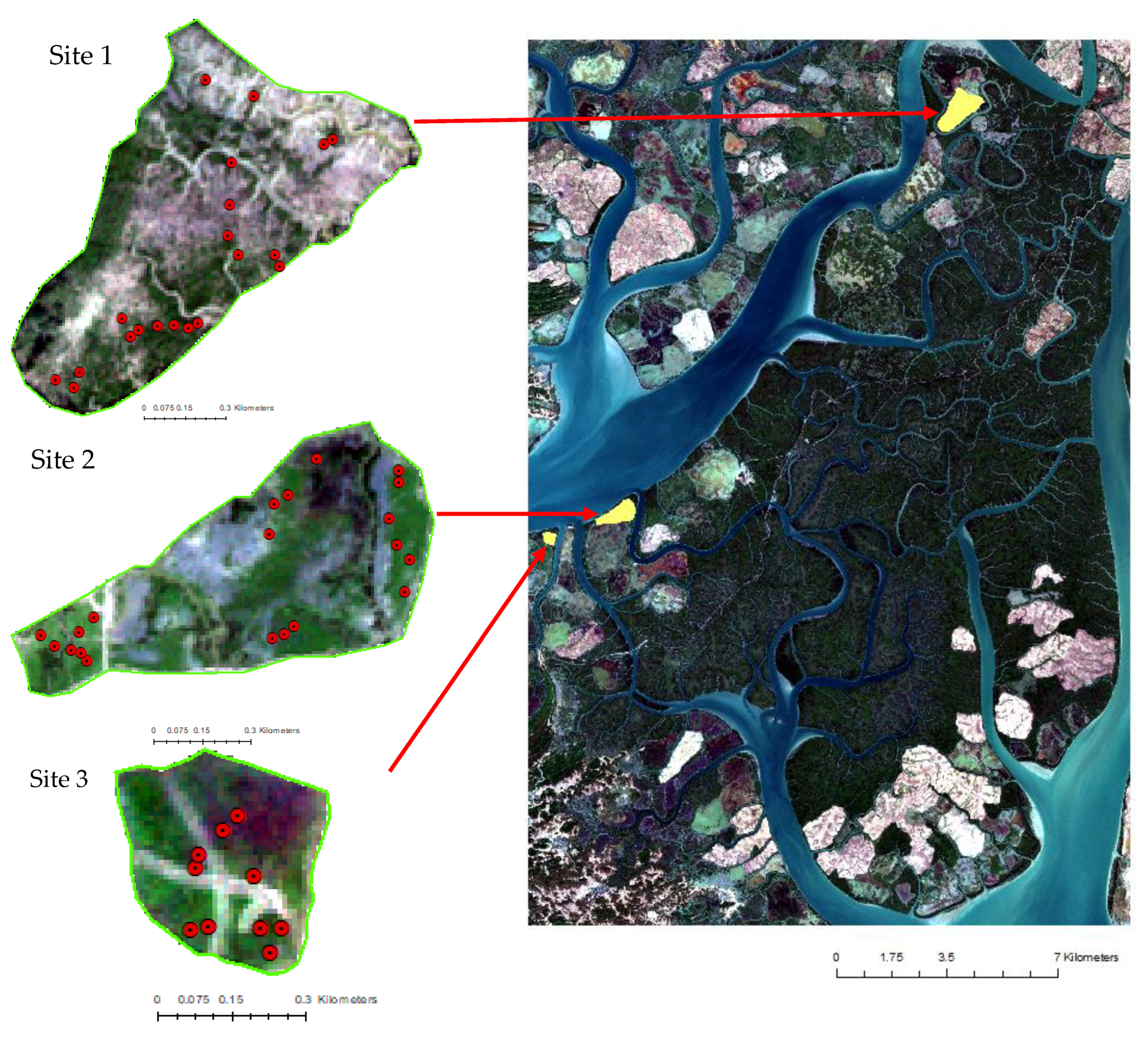 Remotesensing 13 00052 g003